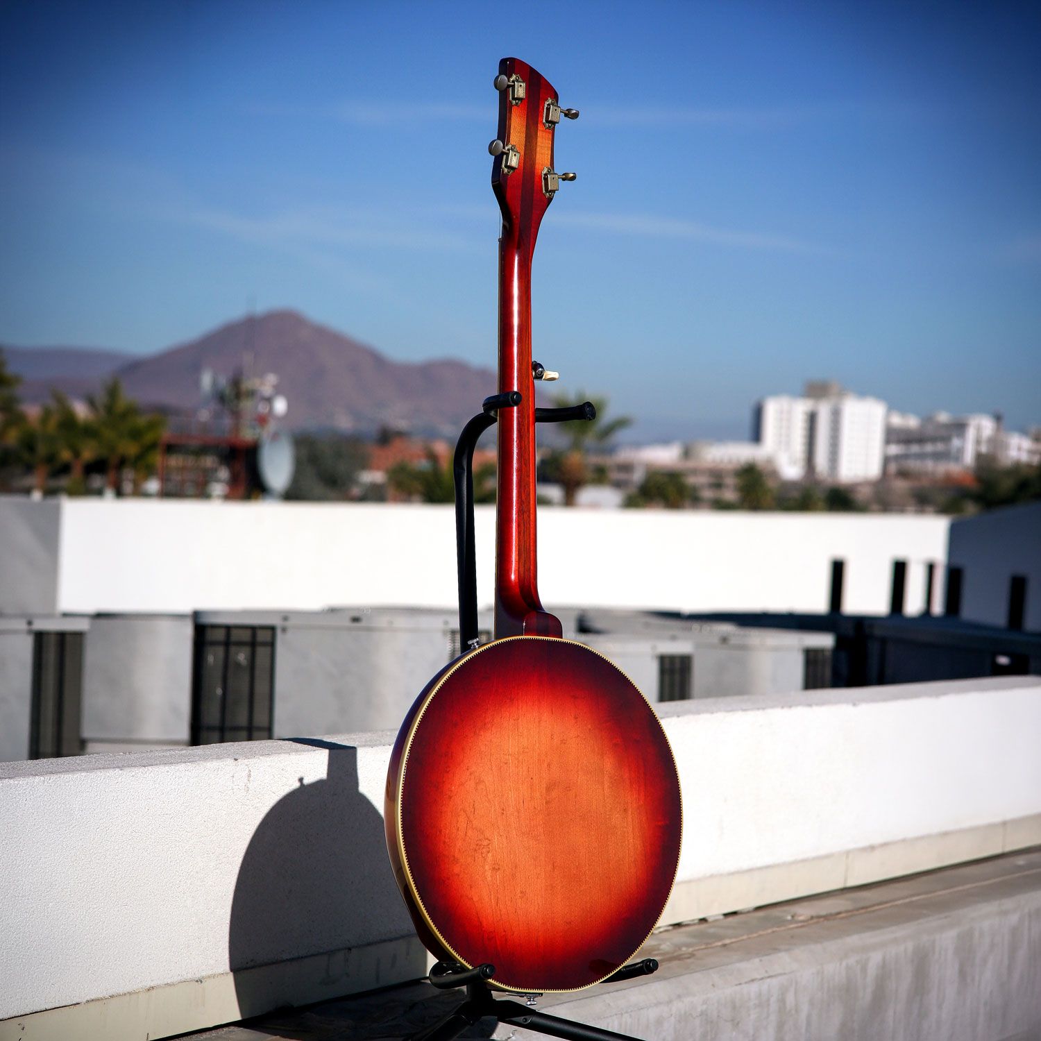 1969 Rickenbacker 6000 Bantar back