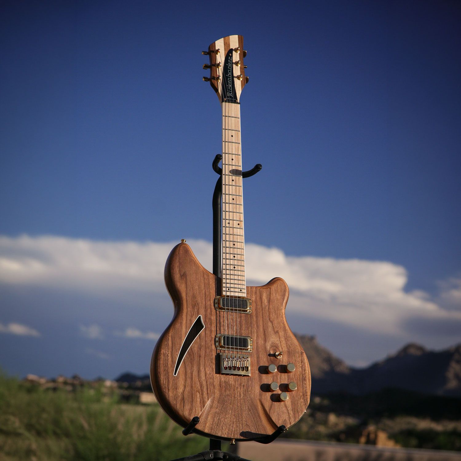 2003 Rickenbacker 380L PZ