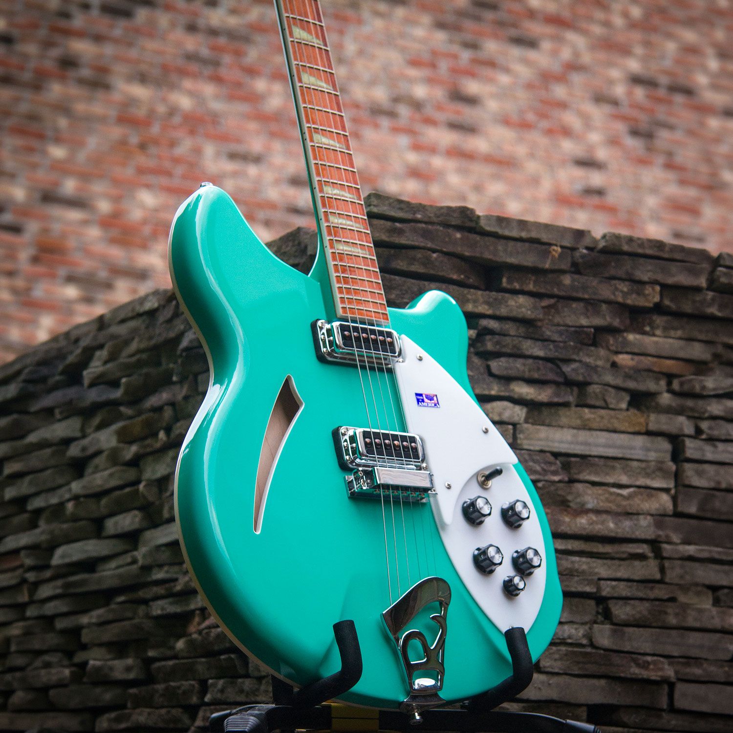 2001 Rickenbacker 360