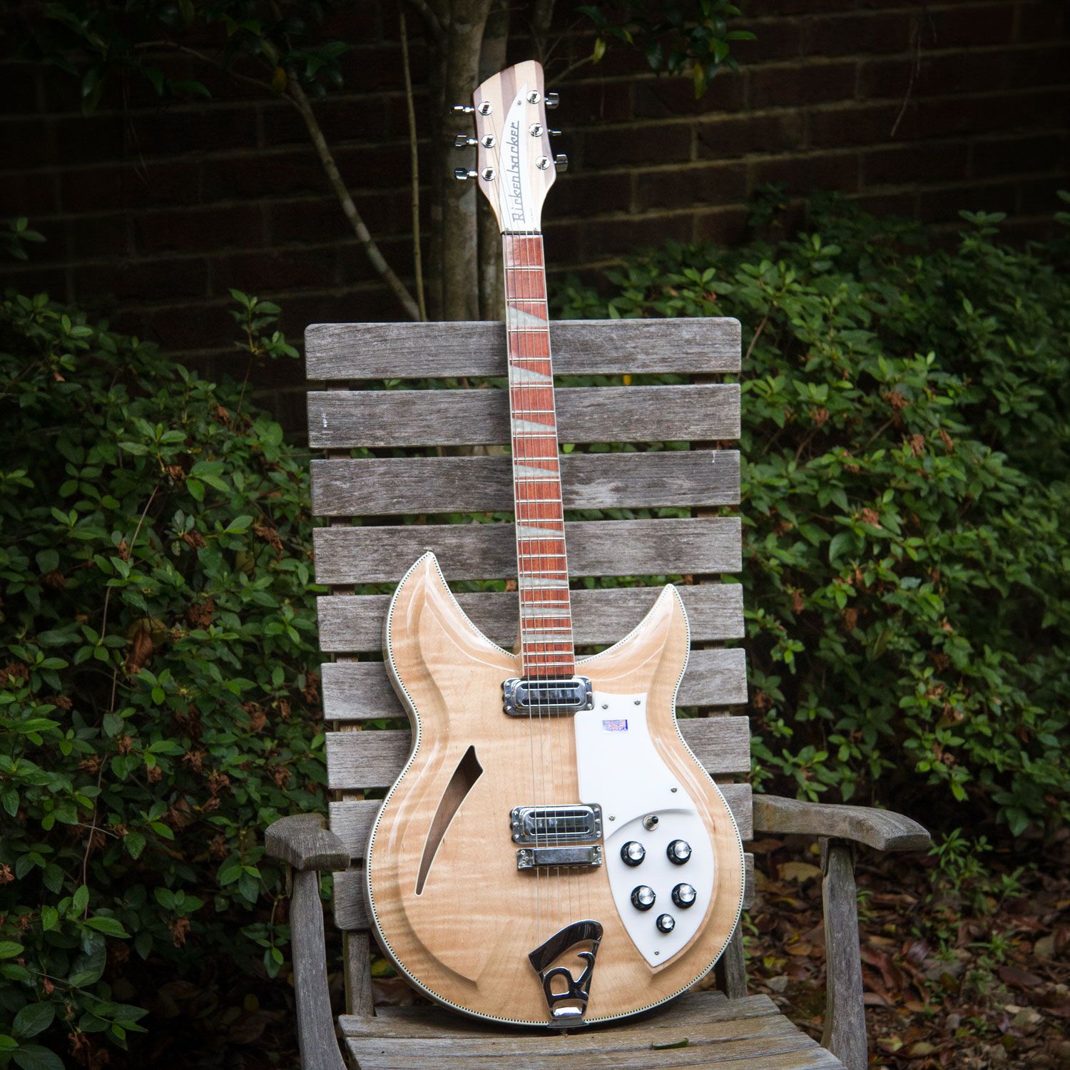 2007 Rickenbacker 381v69