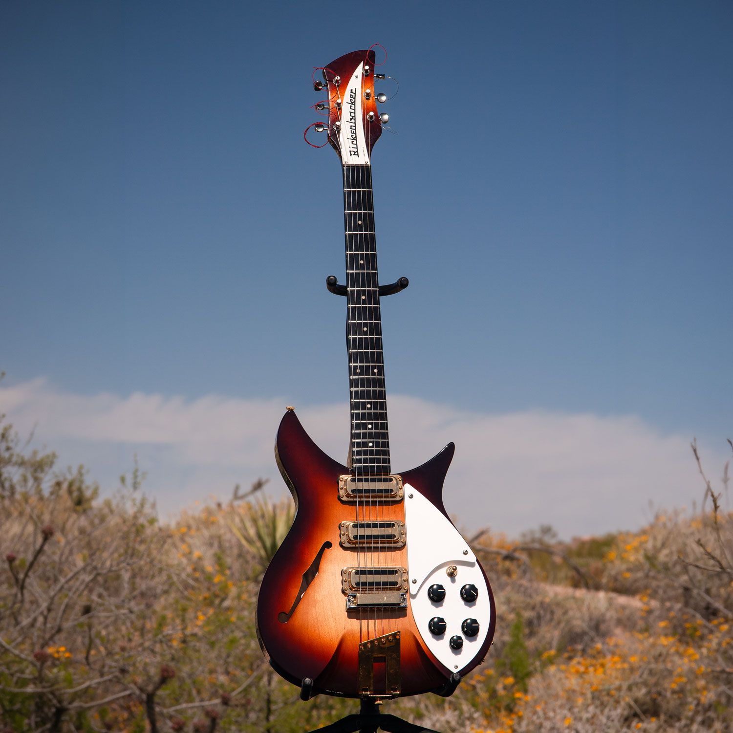 2004 Rickenbacker 350V63