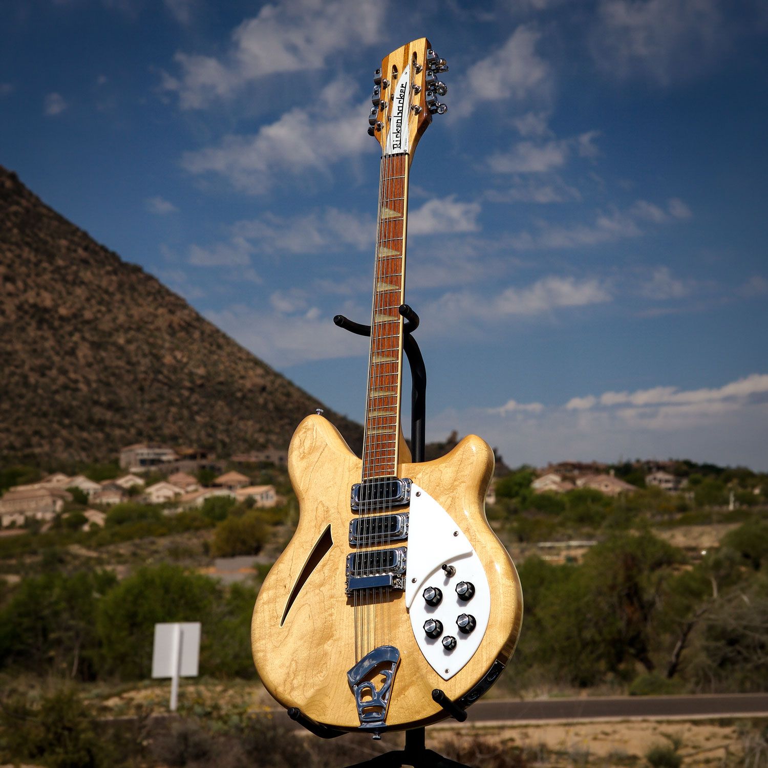 1983 Rickenbacker 370/12