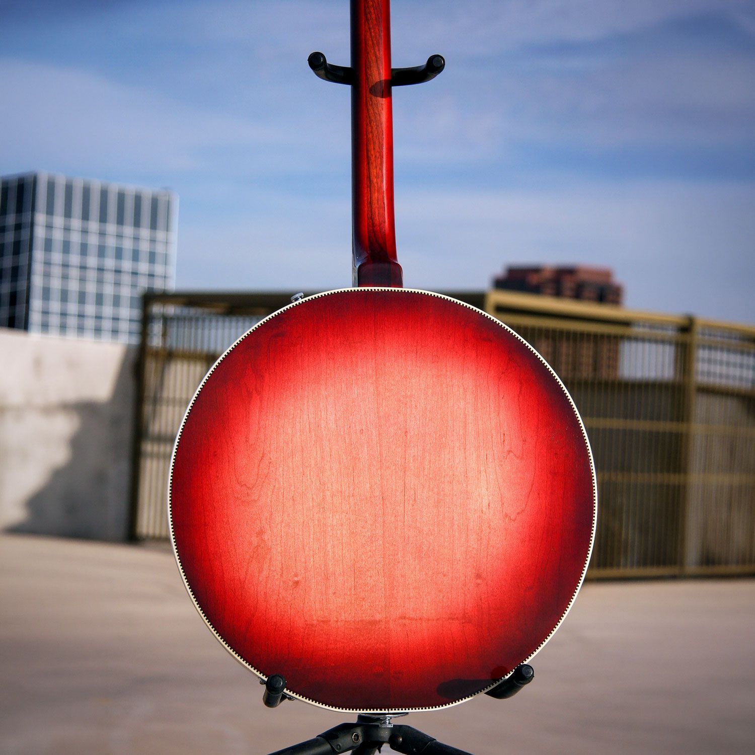 1969 Rickenbacker 6000/4 Bantar body back