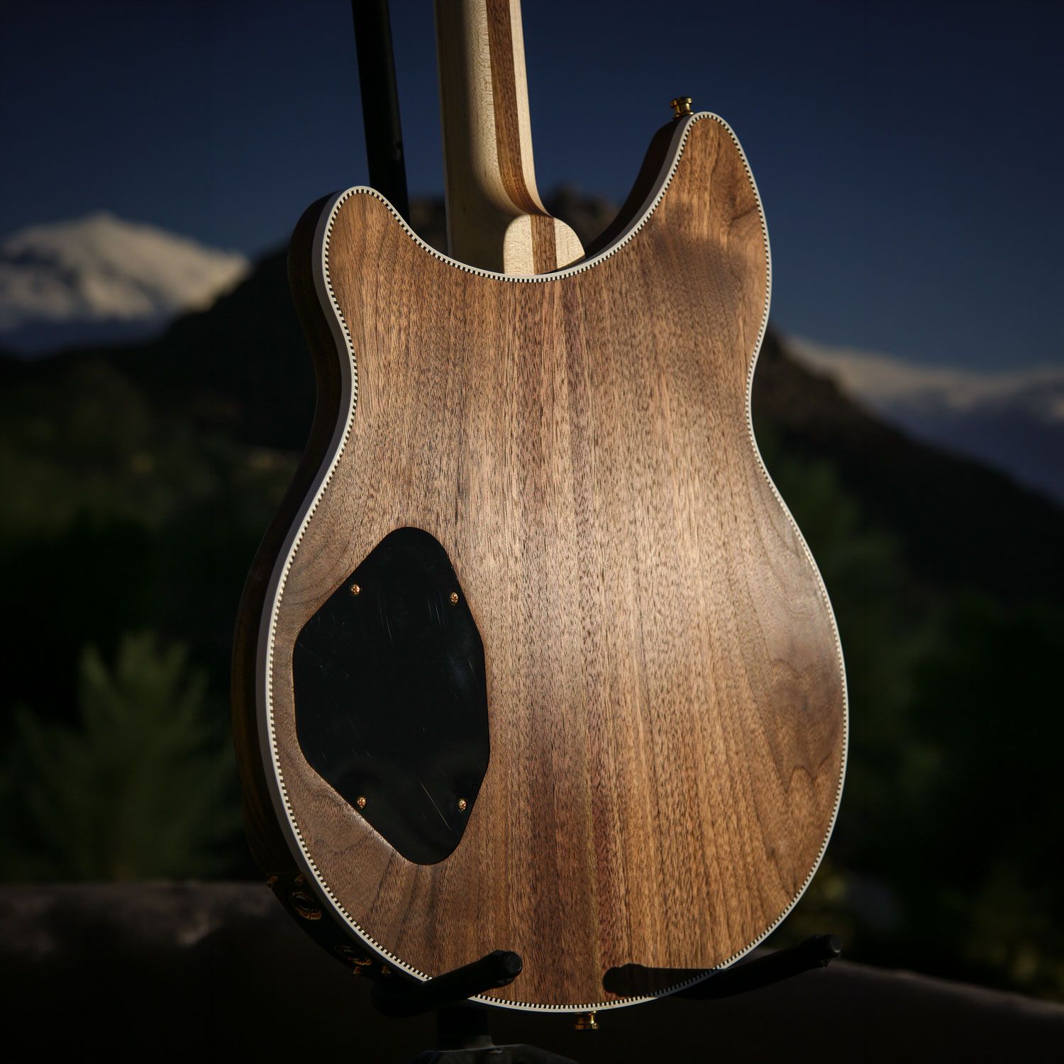 2003 Rickenbacker 380L PZ body back