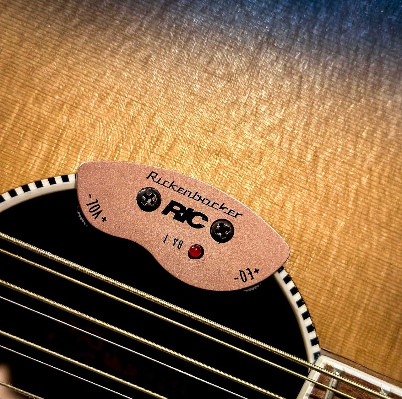 2001 Rickenbacker 700C/12 pickup