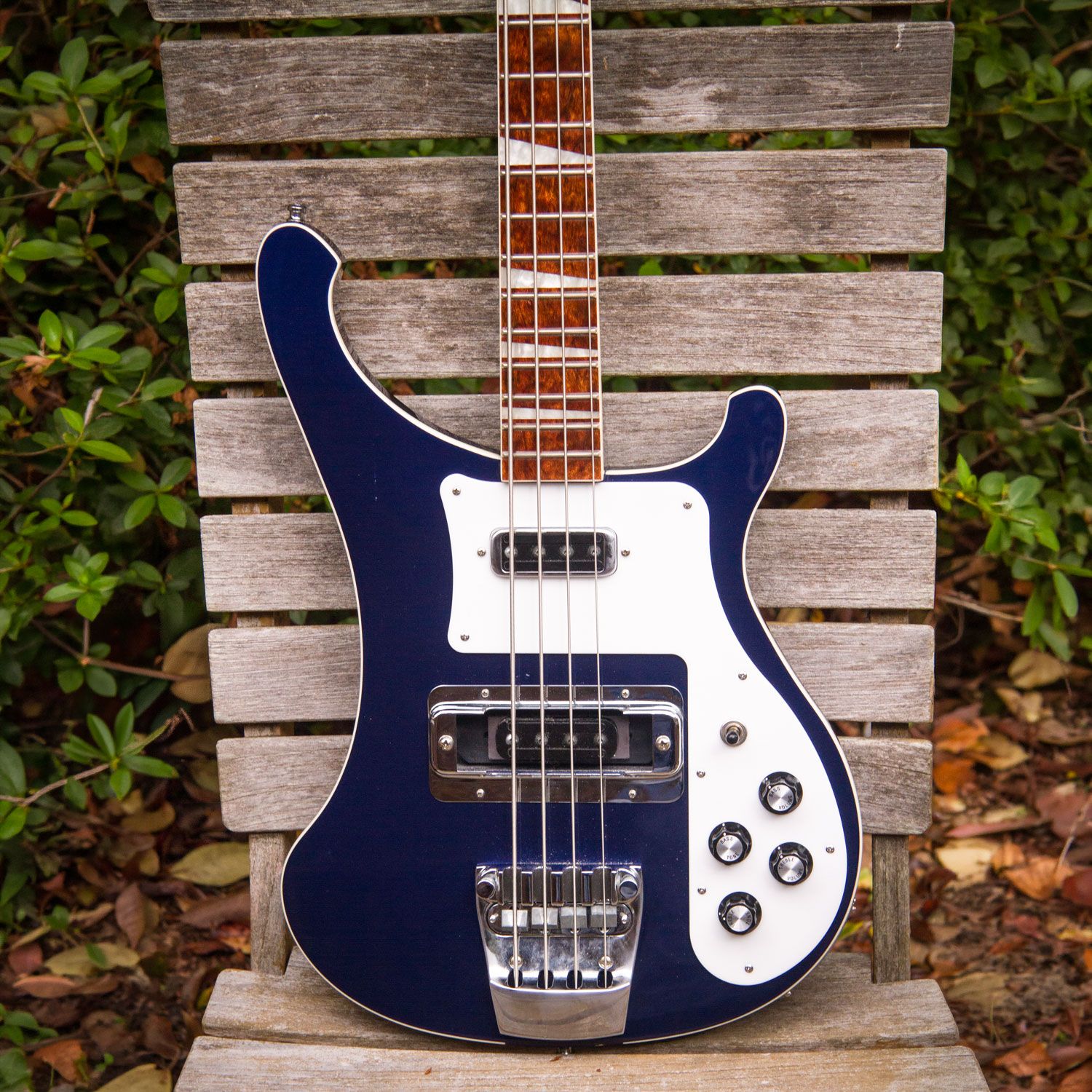 2010 Rickenbacker 4003 body