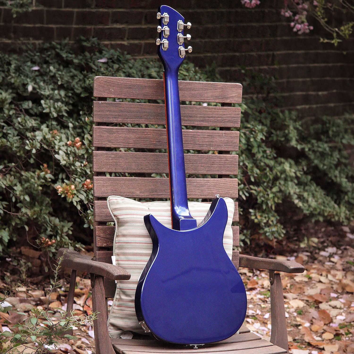 2009 Rickenbacker 350V63 back