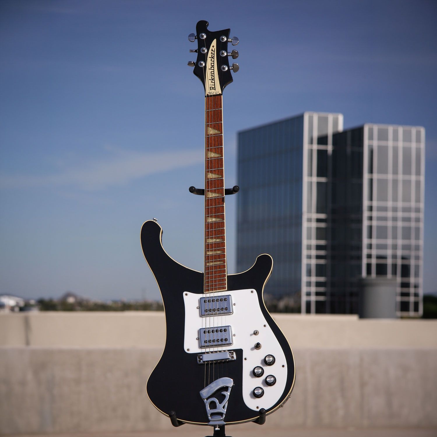 1975 Rickenbacker 481