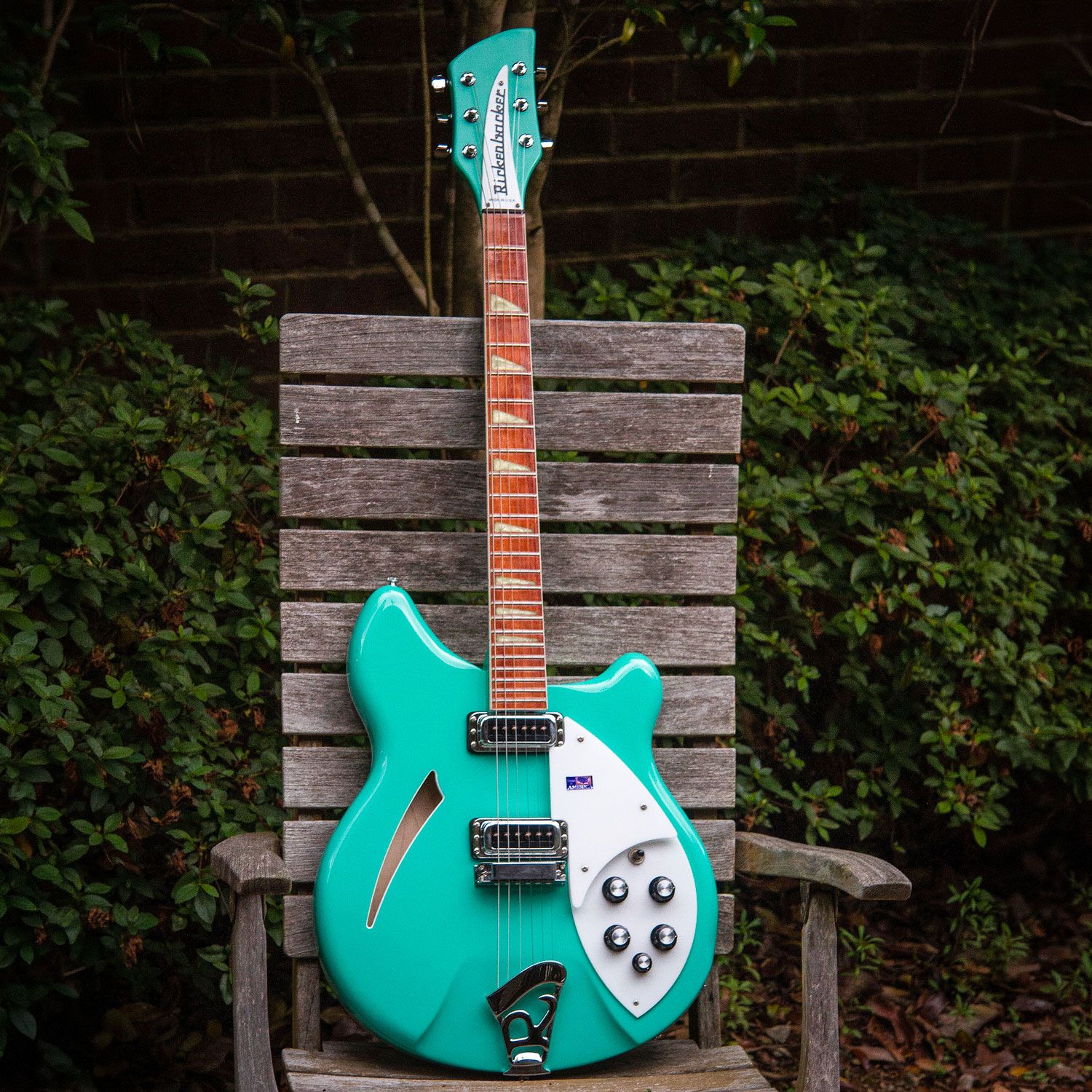 2001 Rickenbacker 360