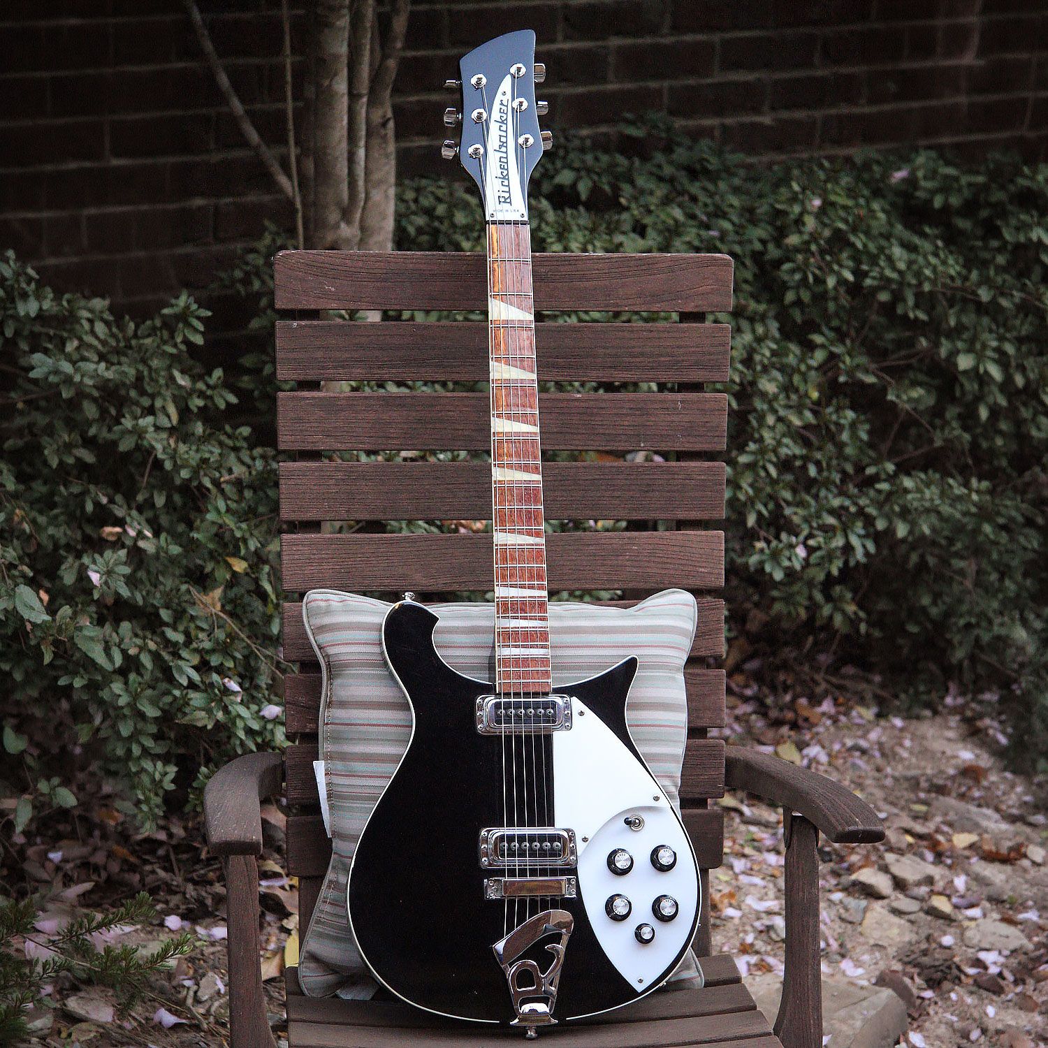 2008 Rickenbacker 620