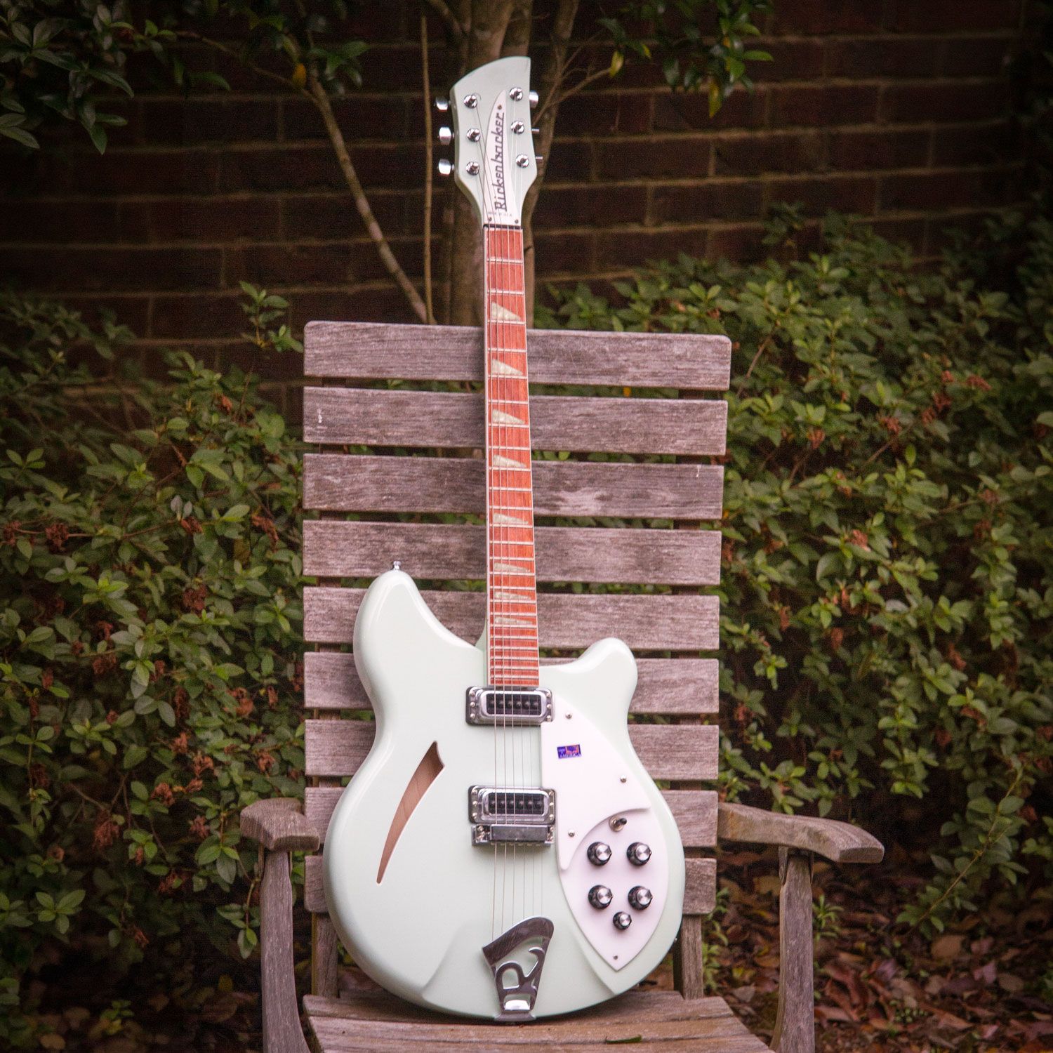 2002 Rickenbacker 360