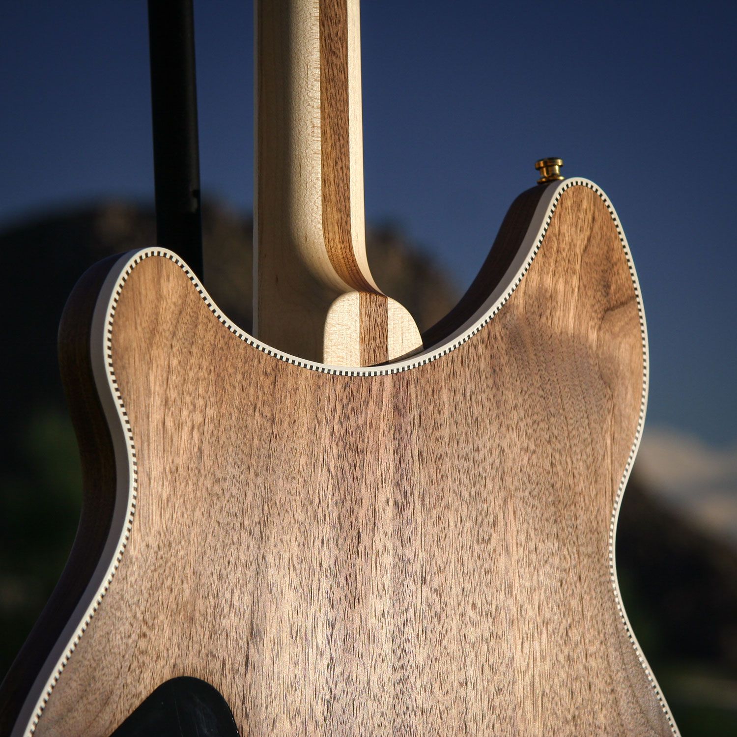 2003 Rickenbacker 380L PZ heel