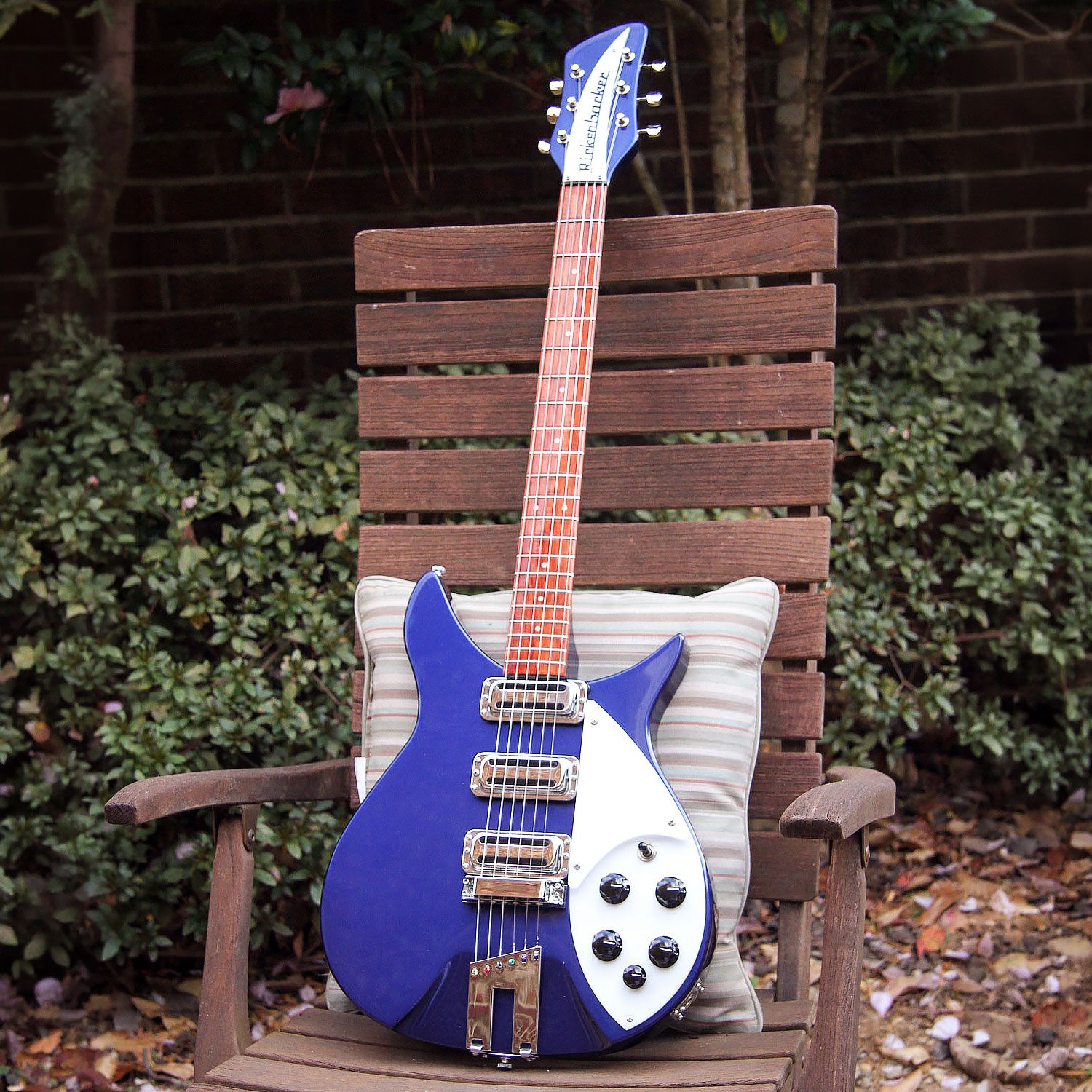 2009 Rickenbacker 350V63