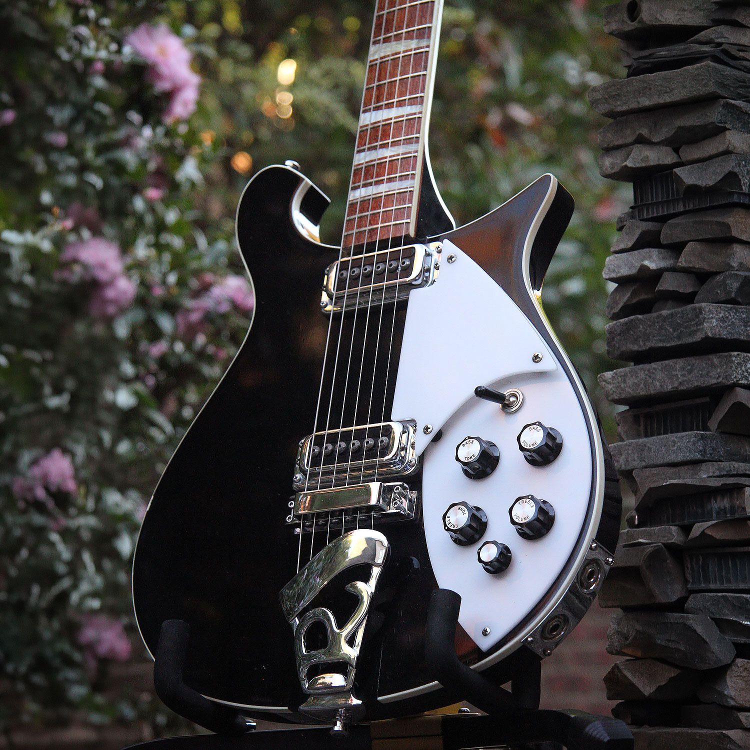 2008 Rickenbacker 620 body