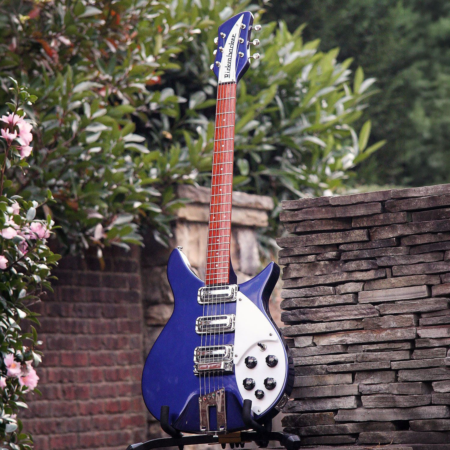 2009 Rickenbacker 350V63