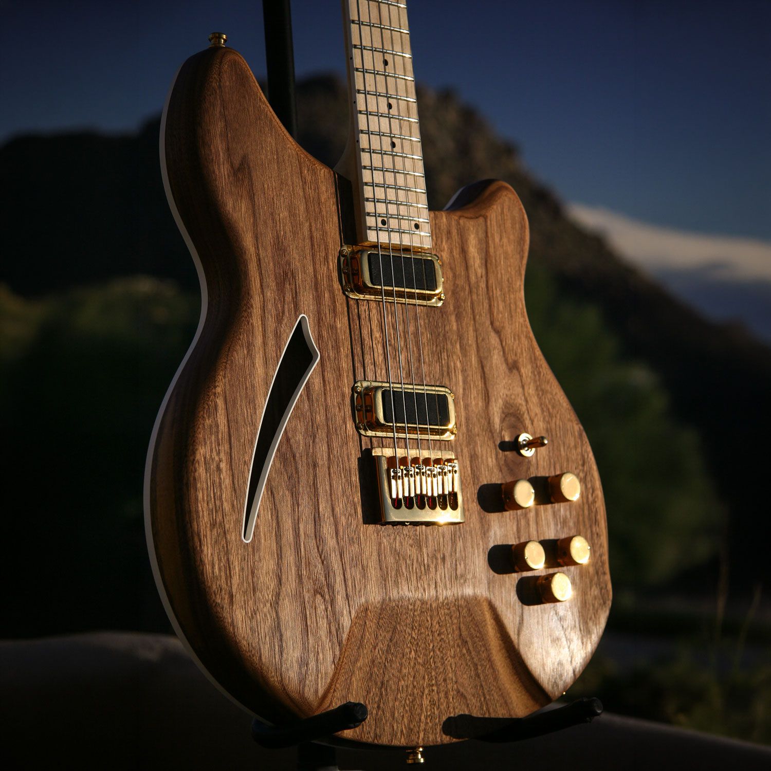 2003 Rickenbacker 380L PZ body