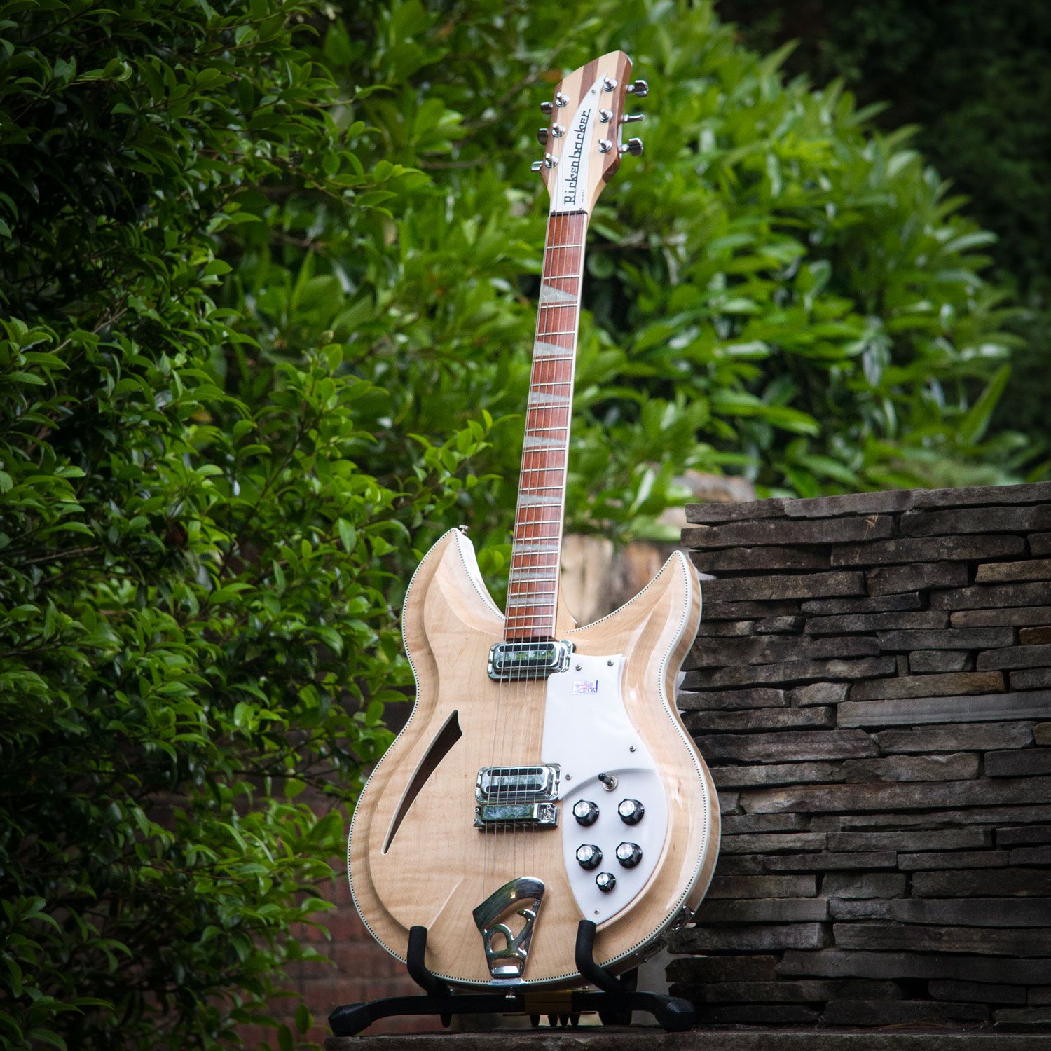 2007 Rickenbacker 381v69