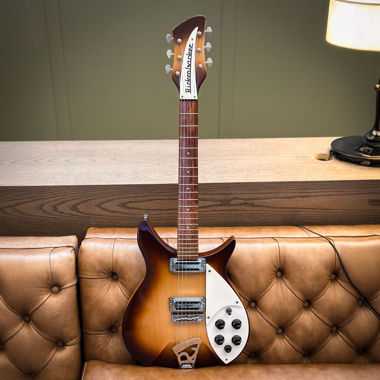 2009 Rickenbacker 310c64