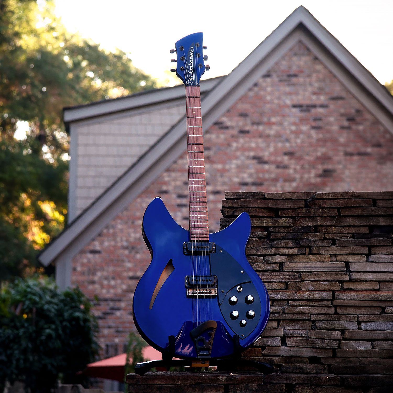 1989 Rickenbacker 330