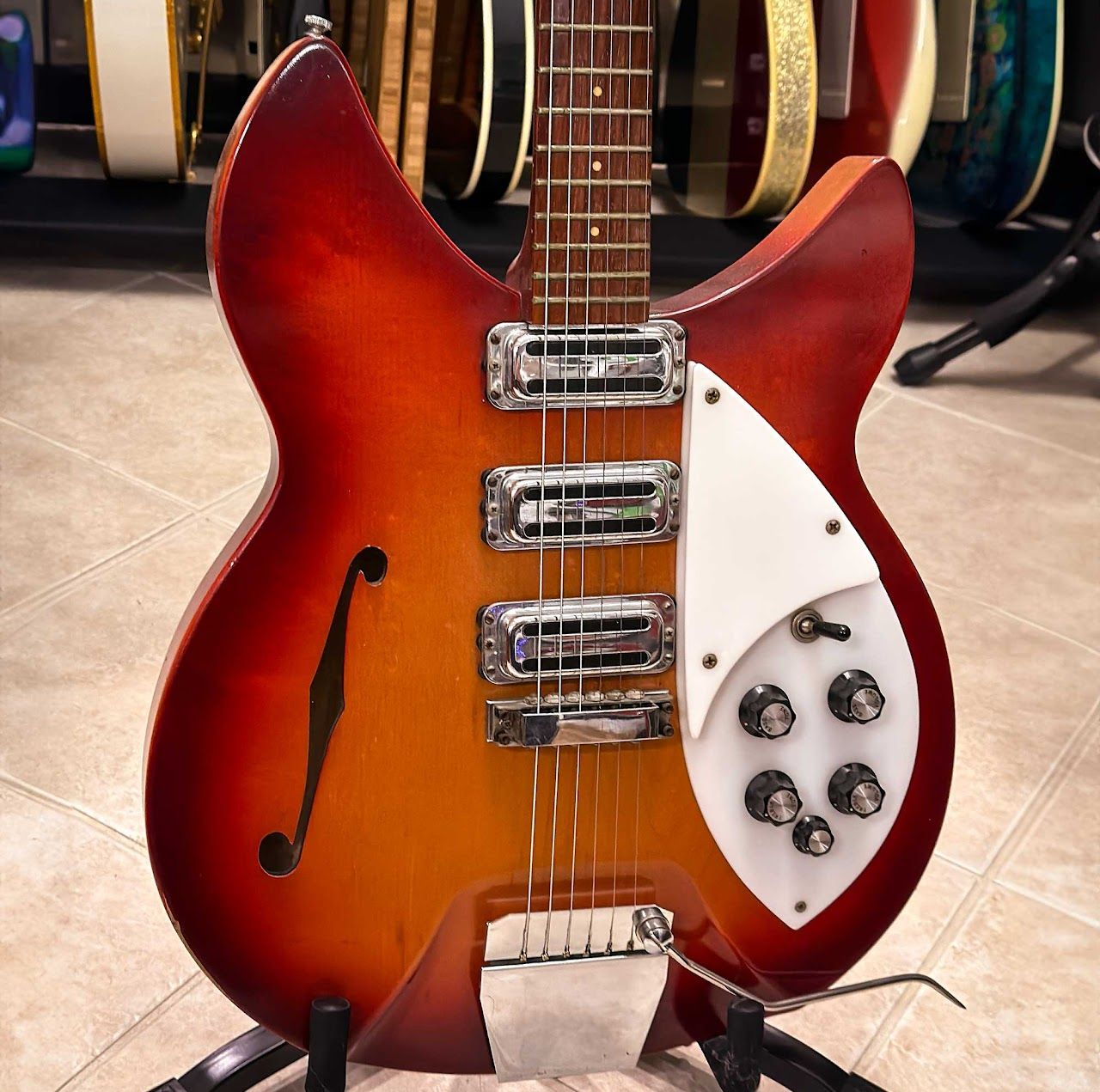 Rose Morris vs. Domestic?