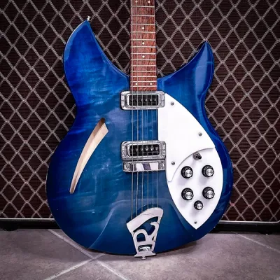 2005 Rickenbacker 330