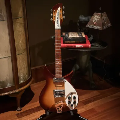 2009 Rickenbacker 310c64