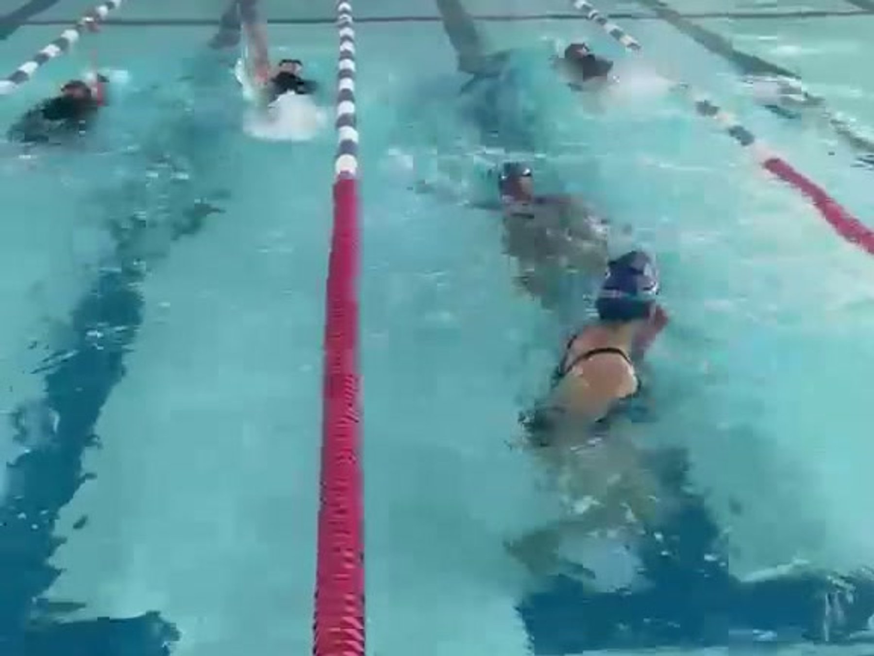 Adult swimmers training in lanes