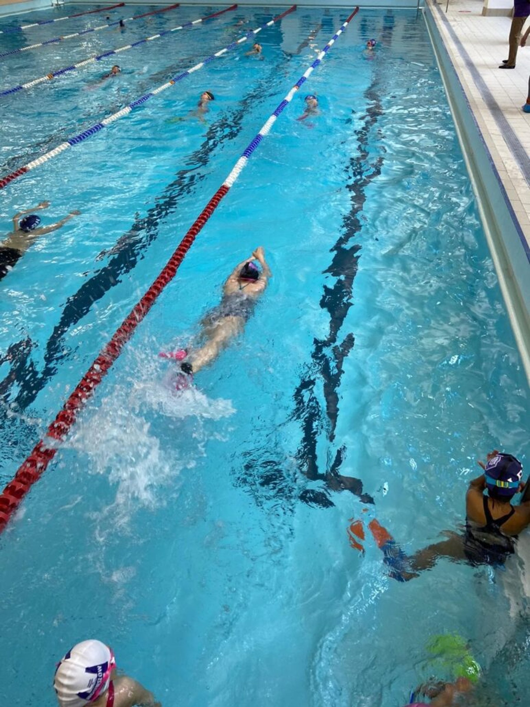 A squad swimmer powering through a length in training