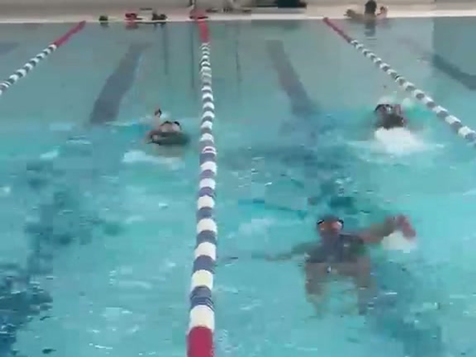 Adult swimmers training in lanes