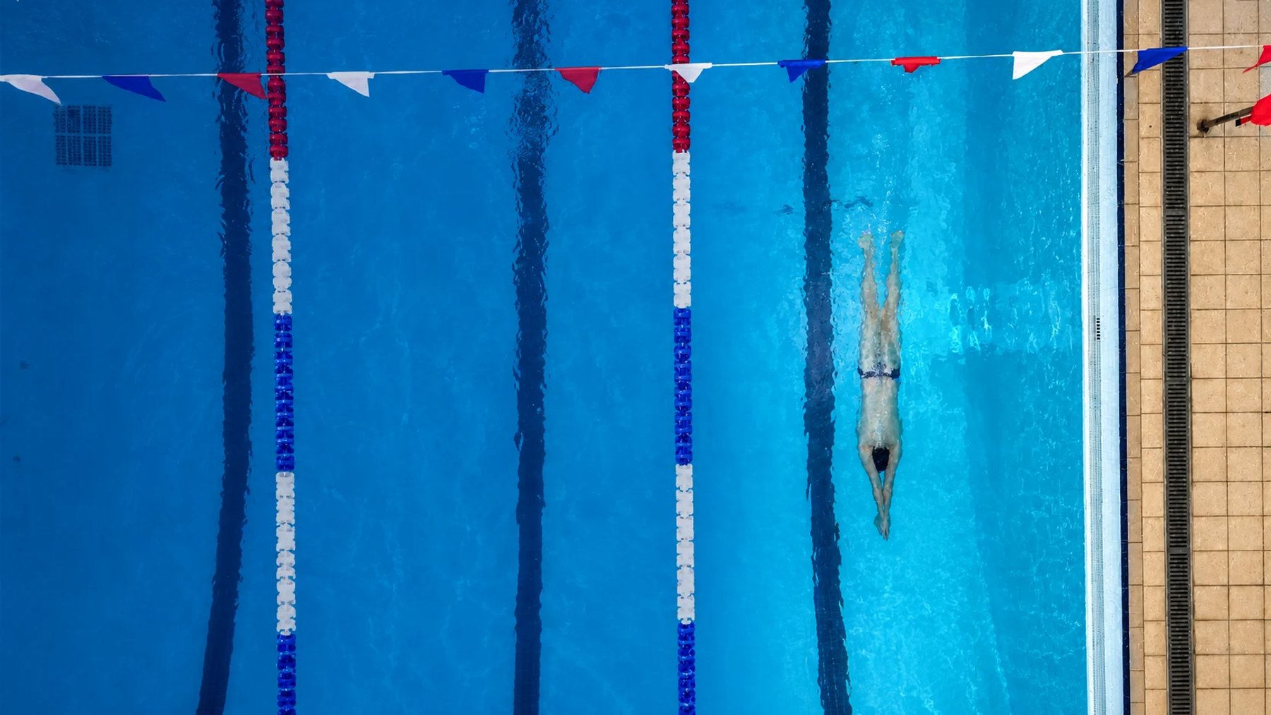 A swimmer seen from above between lane ropes in a blue swimming pool