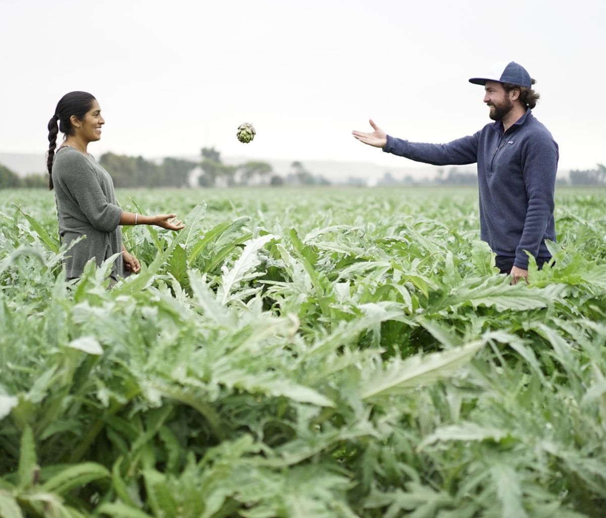 Spotlight on MightyMeals’ Partner, SIMPLi