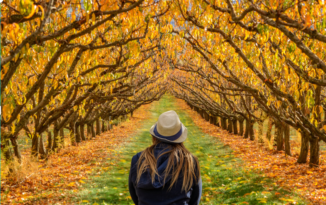 7 Surprising Effects Fall Weather Can Have on Your Body