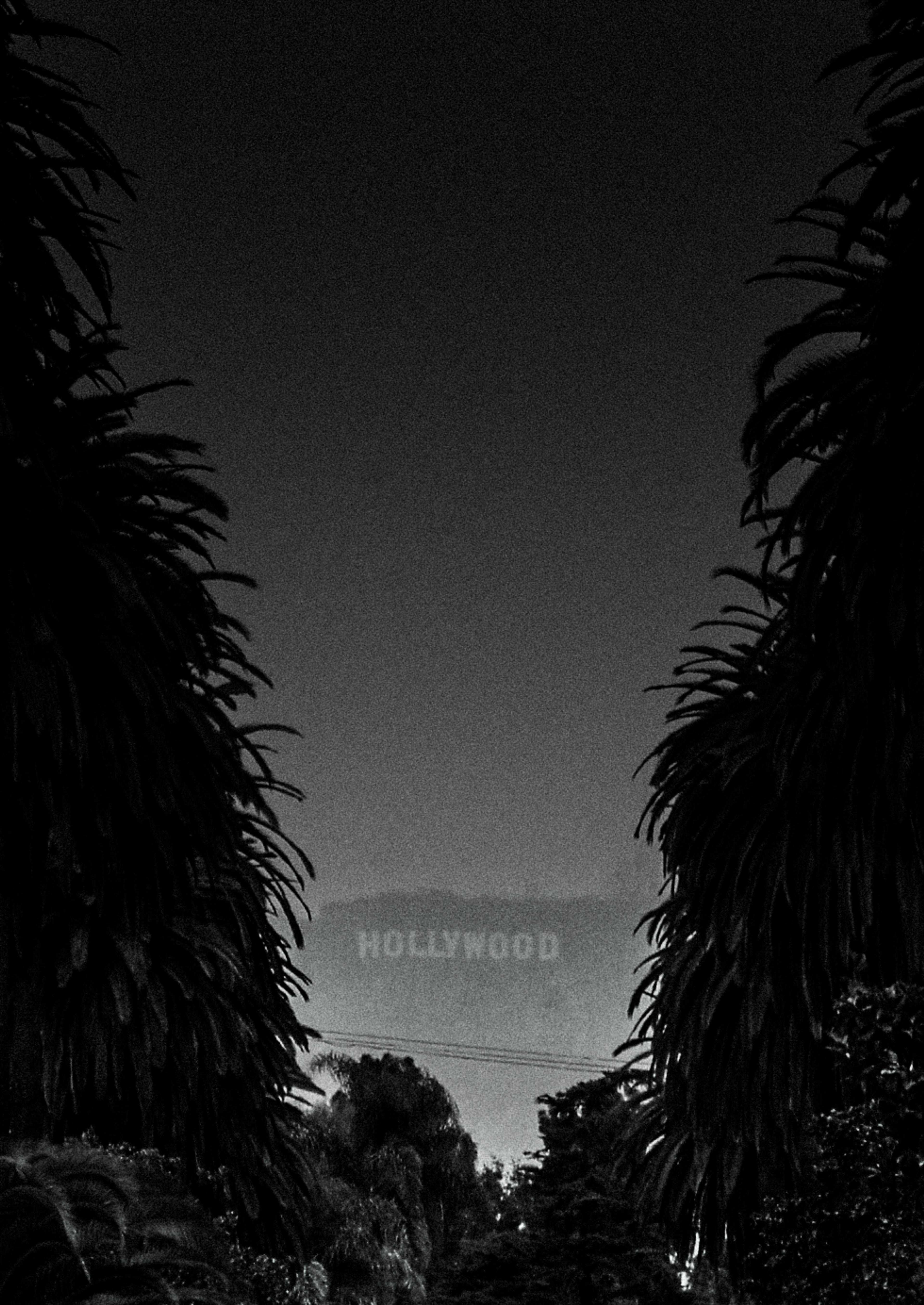 A grainy black-and-white photograph of the Hollywood sign, framed by foliage on either side