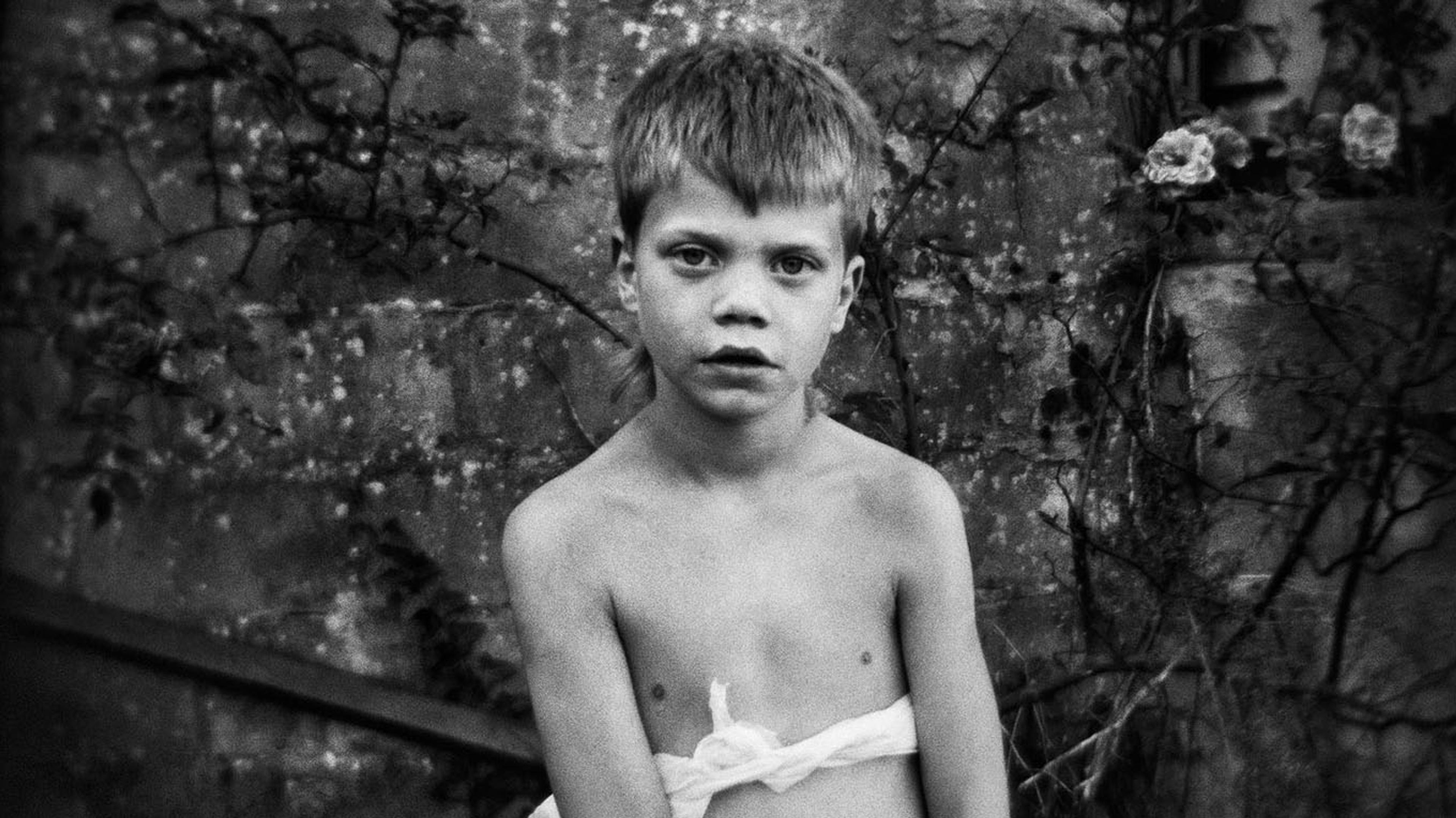Martin Bogren | Lowlands
