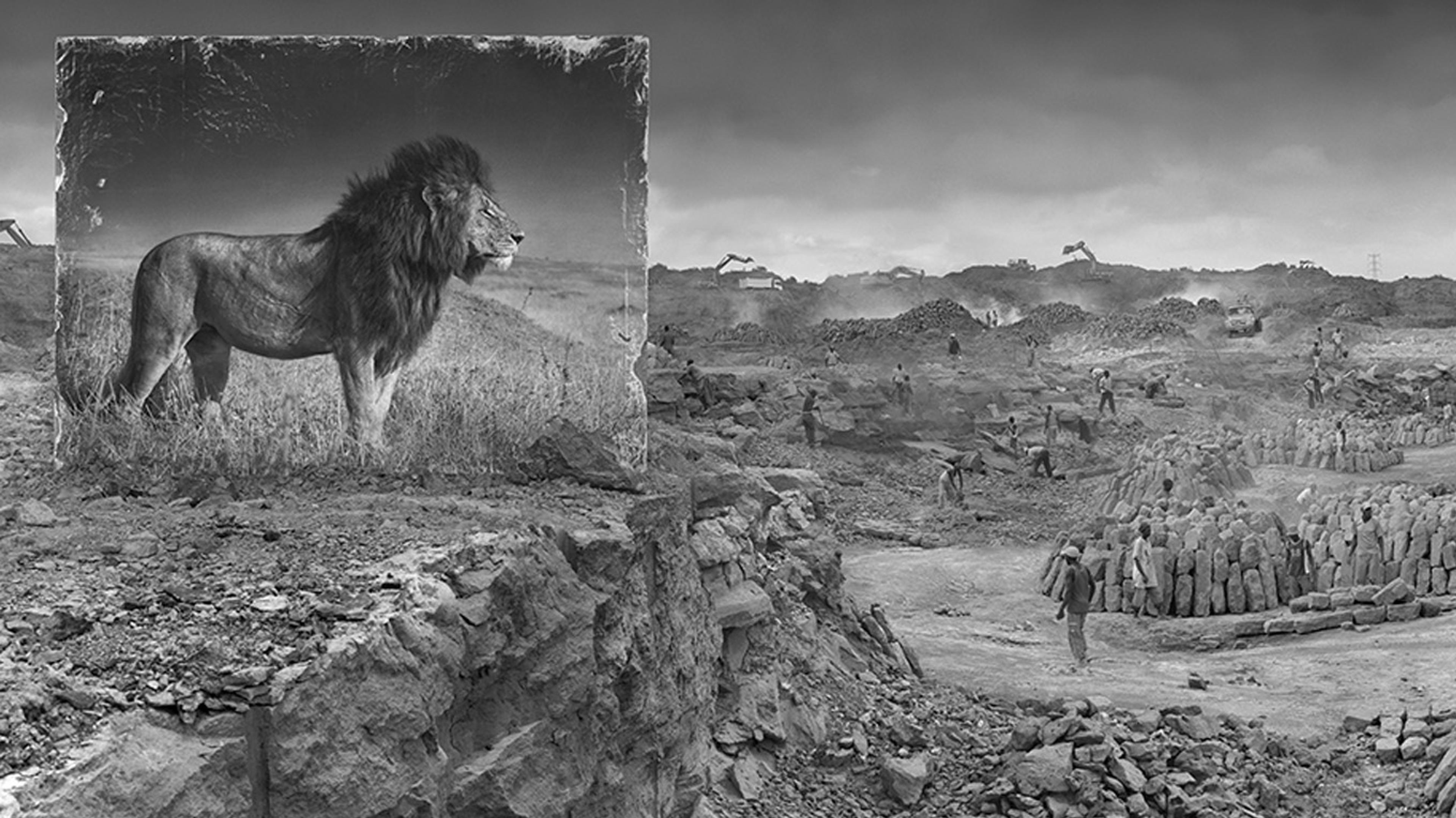 Hero Image for Nick Brandt Inherit the Dust