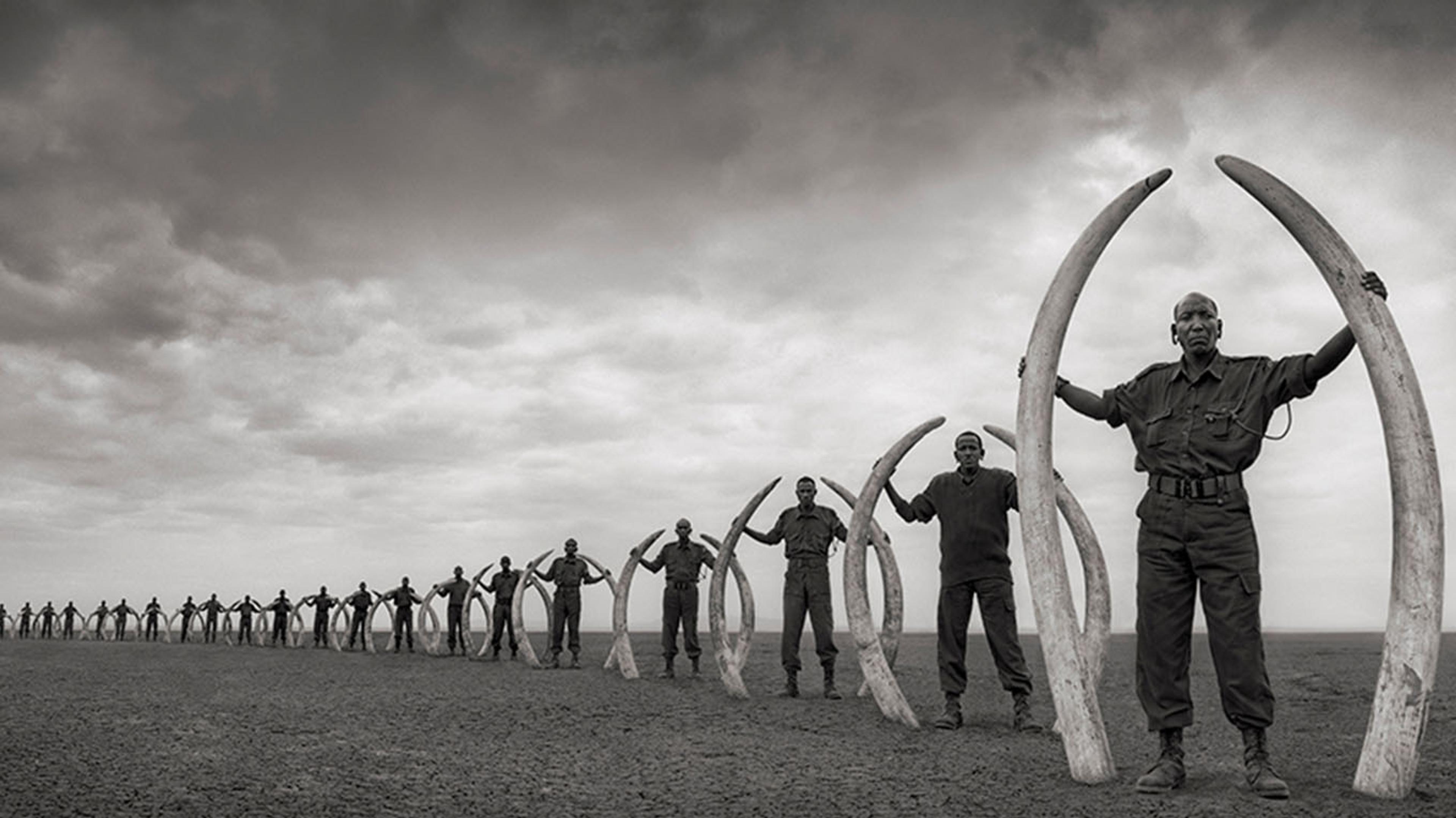 Nick Brandt | On This Earth, A Shadow Falls
