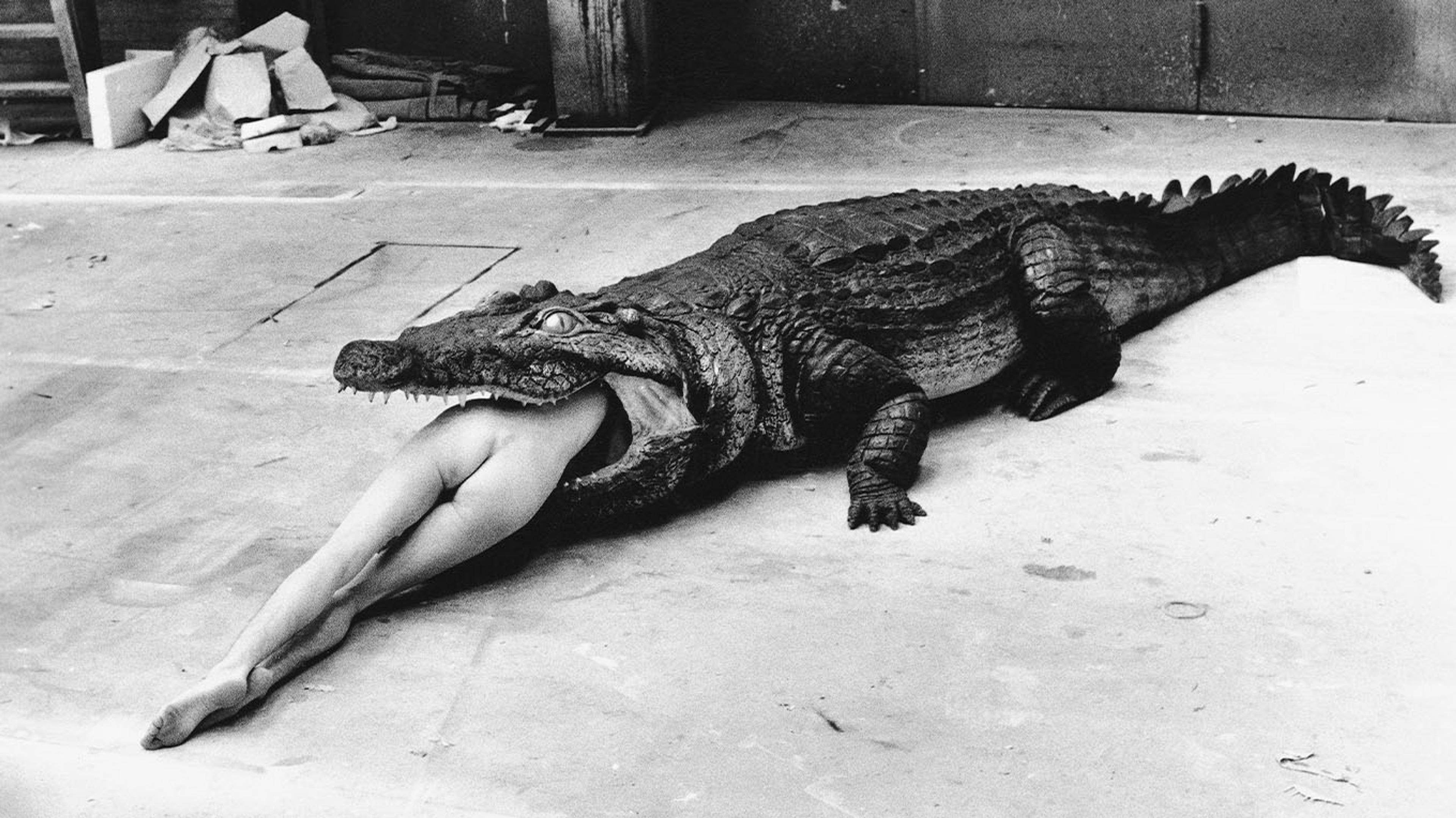 HELMUT NEWTON_004_Crocodile, Wuppertal, 1983 © Foto Helmut Newton, Helmut Newton Estate Courtesy Helmut Newton Foundation