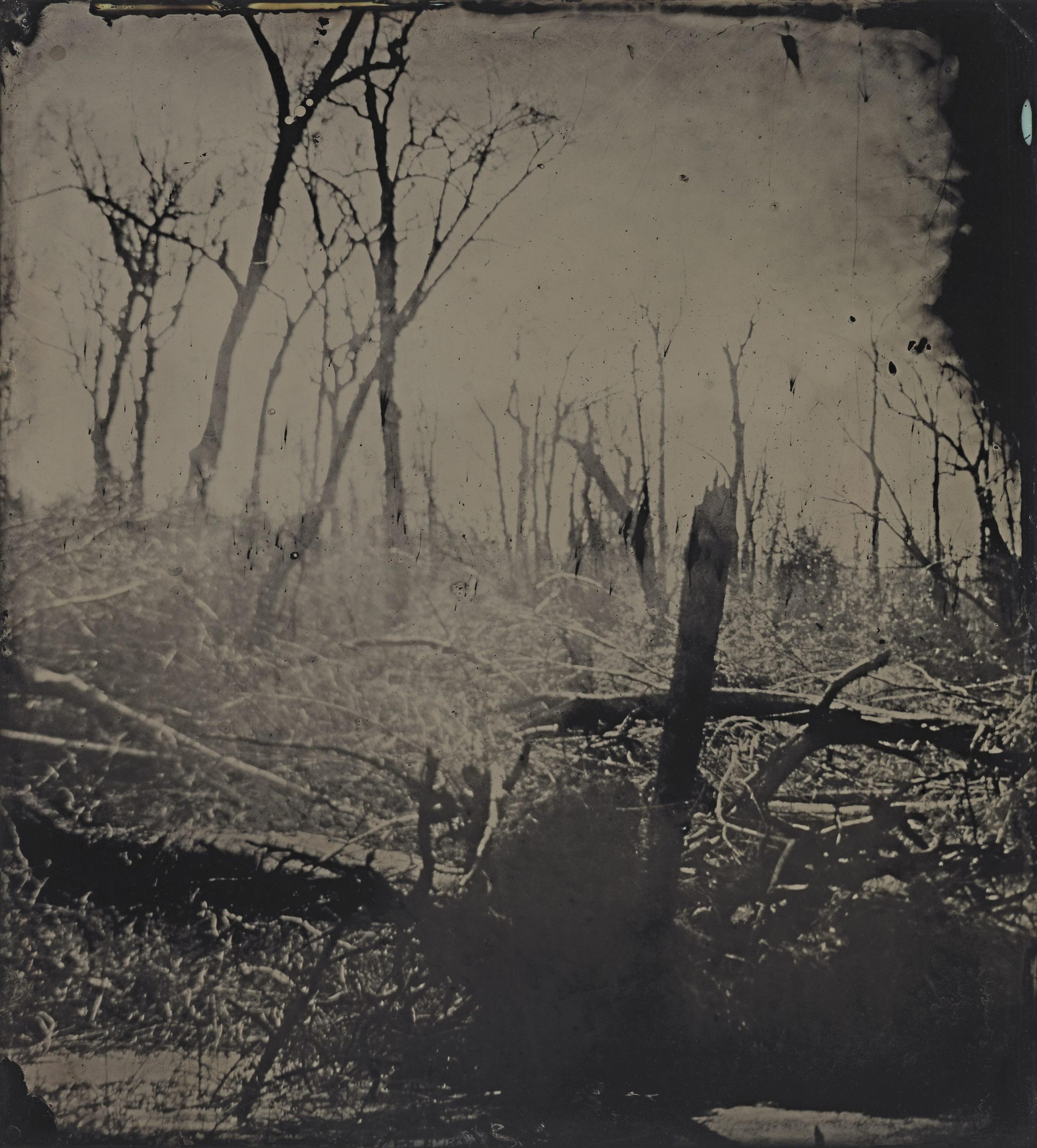 A sepia photograph of a desolate, bare forest with branches in the shape of a cross in the foreground