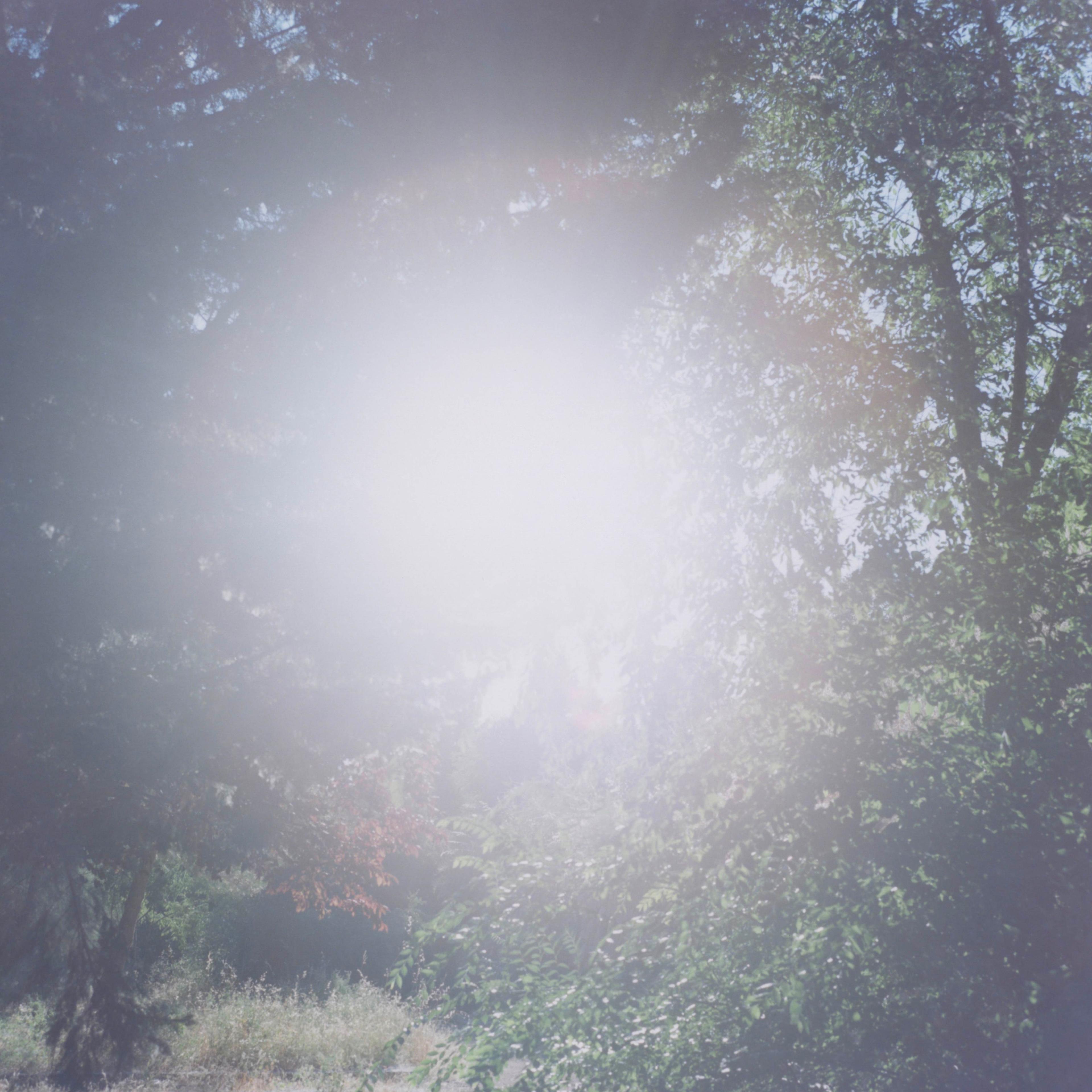 Untitled, From the series An interlinking, 2012 © Rinko Kawauchi, Courtesy of Christophe Guye Galerie