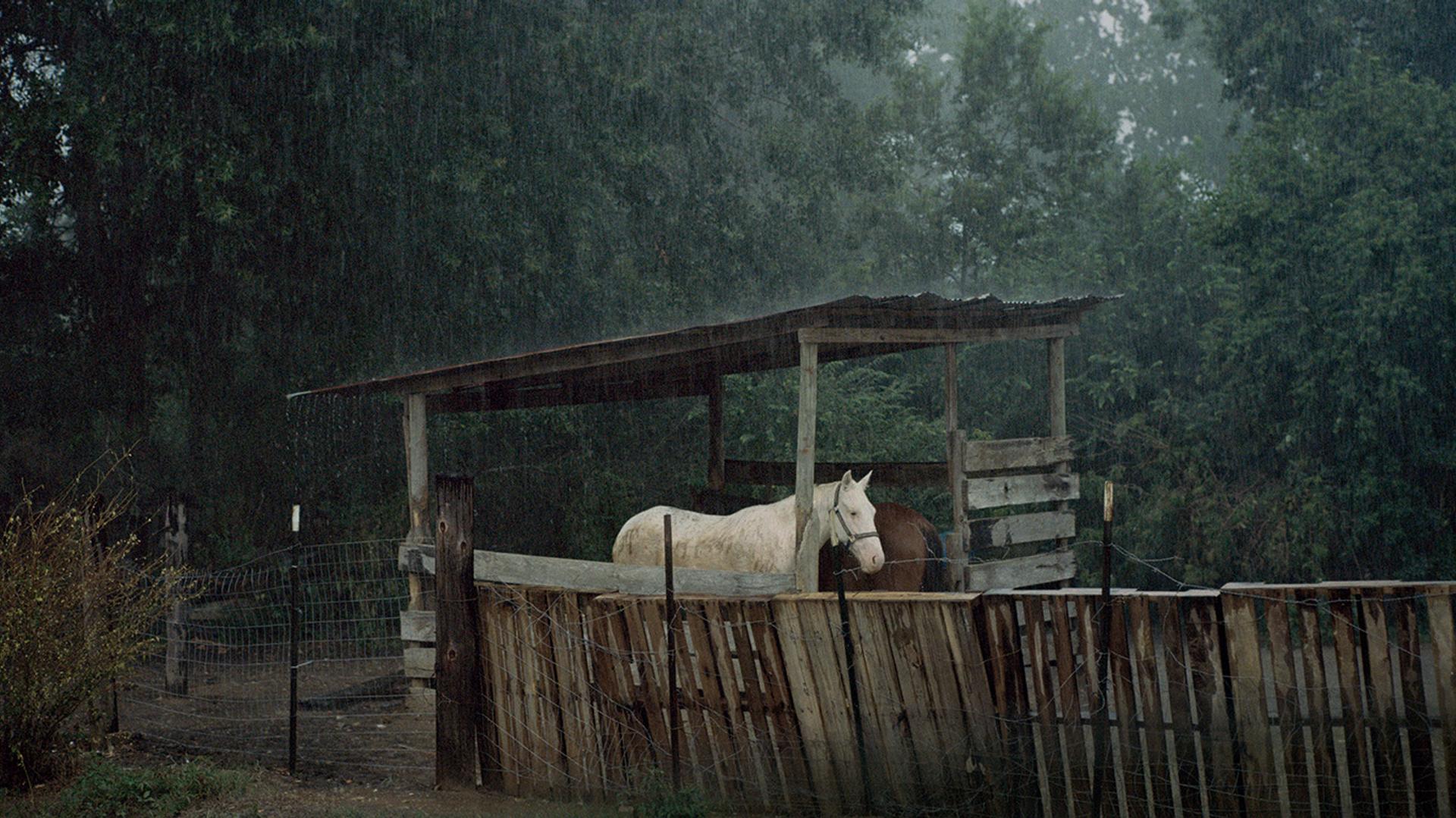 Hannah Modigh Hurricane Season | Fotografiska Stockholm
