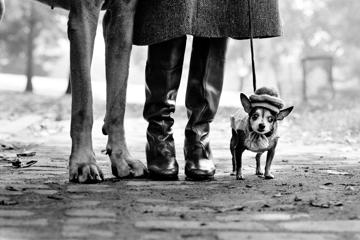 Elliott Erwitt: Playful Retrospective