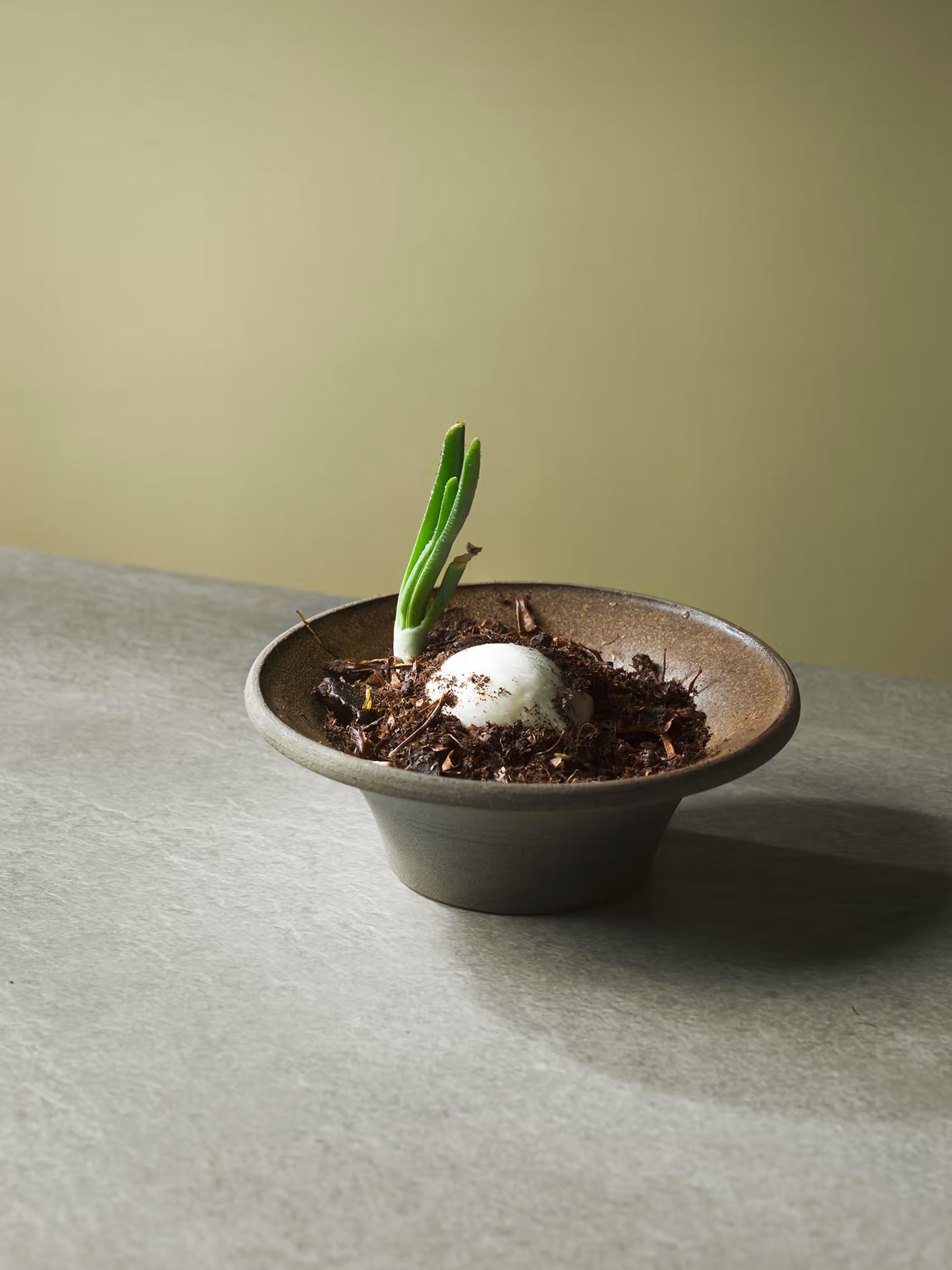 A small ceramic bowl sits centered on a light stone tabletop. Inside is a colorful, carefully plated dish with small cubes of red protein, sliced vegetables, creamy sauce, and several edible flowers in purple, blue, and white.