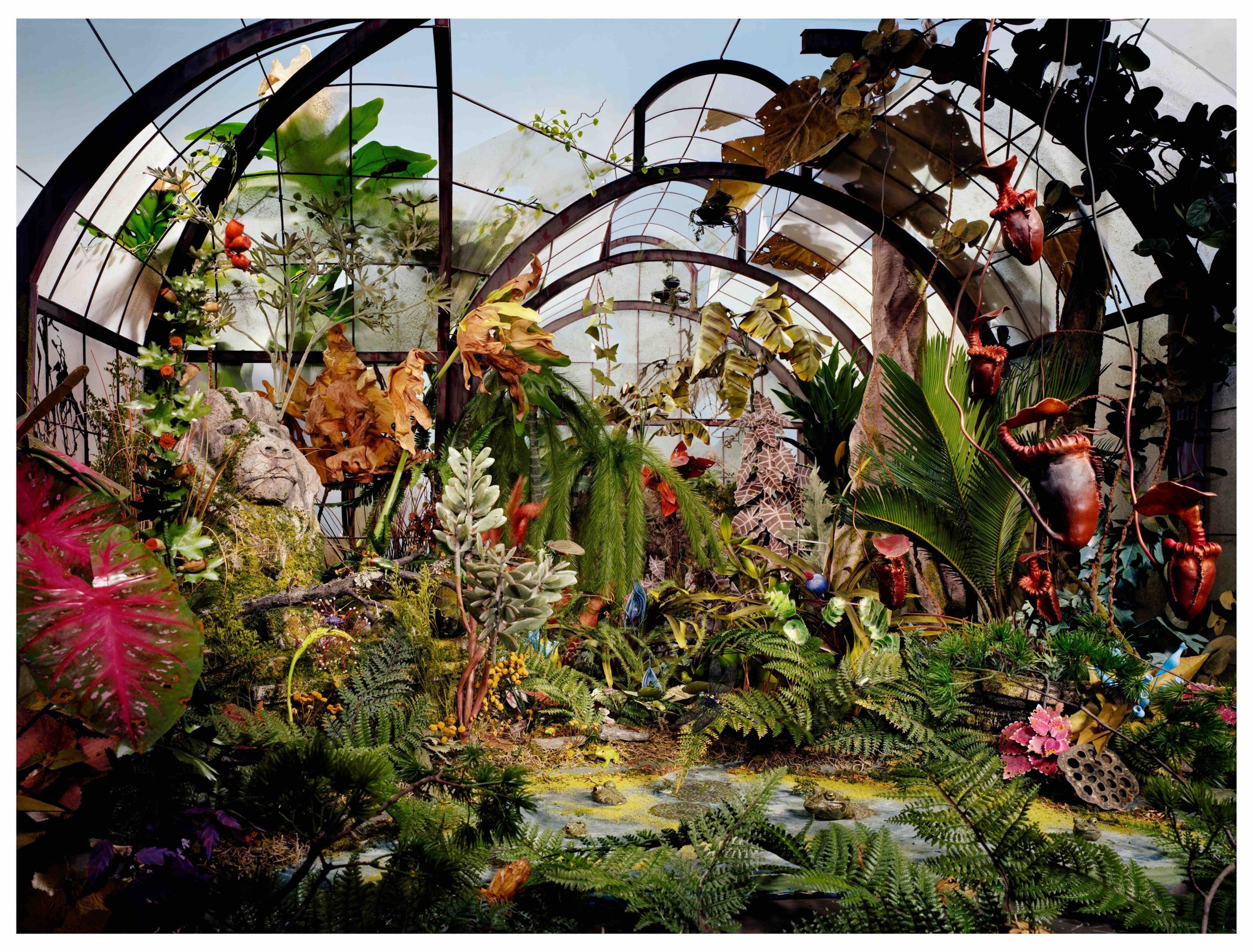 A photographic artwork of a greenhouse overgrown with tropical trees and plants