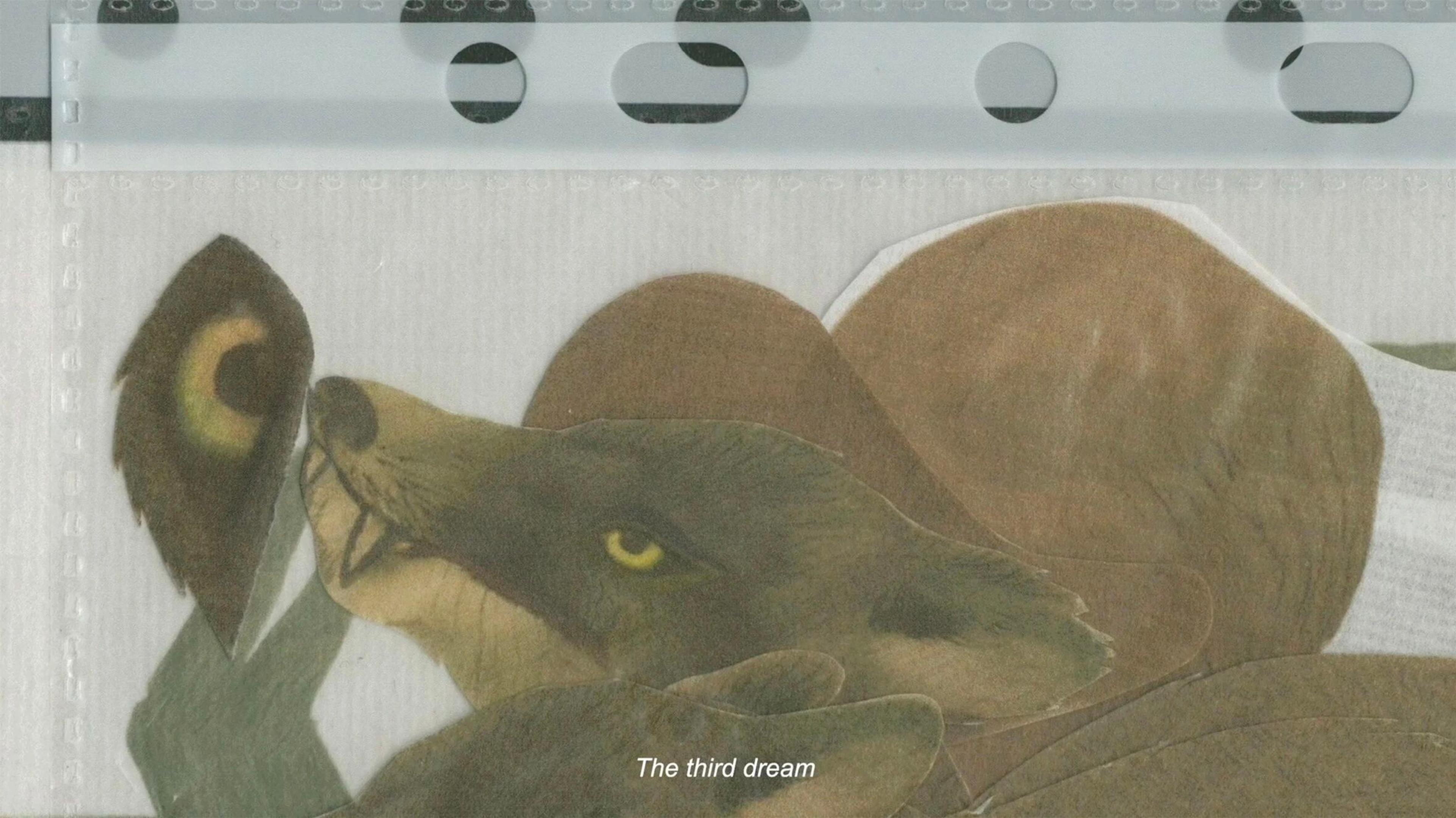 Video Still of I Forgot But You Will Remember, 2025 © Chai Mi