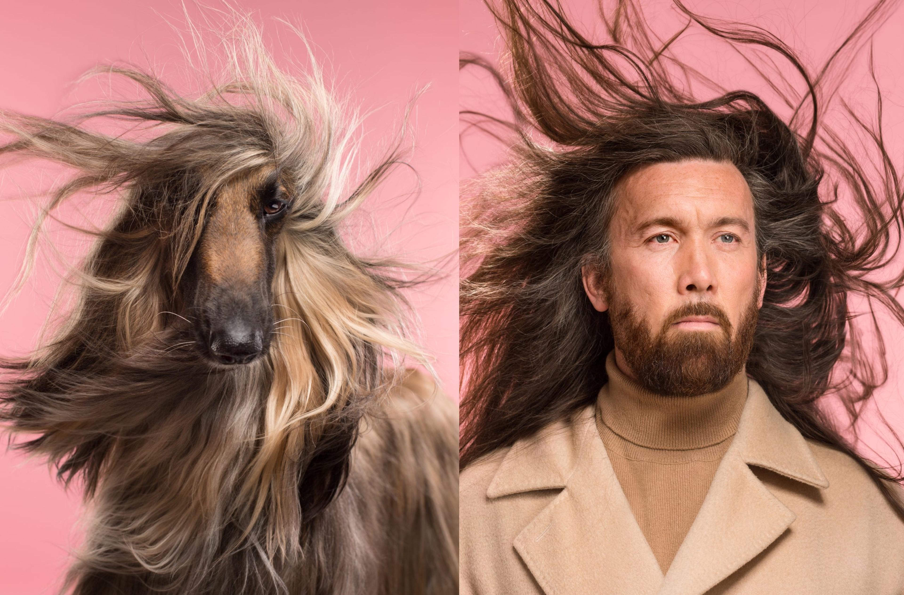 Side-by-side photographs of a dog and man, both with long hair flowing in the wind. Against a pink background.