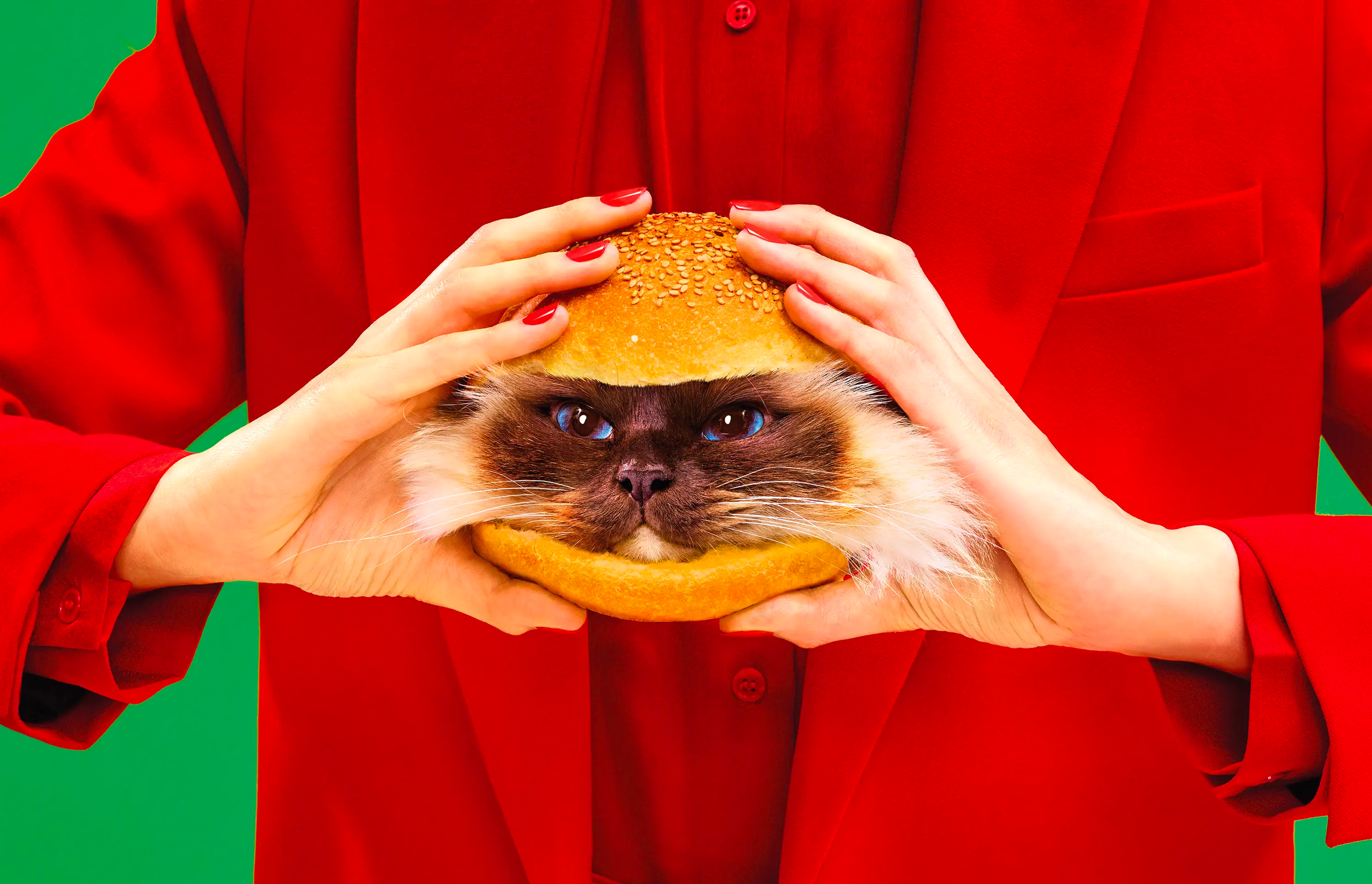 Graphic image with green background, a person in a red blazer holding a hamburger bun and a cat head in the middle