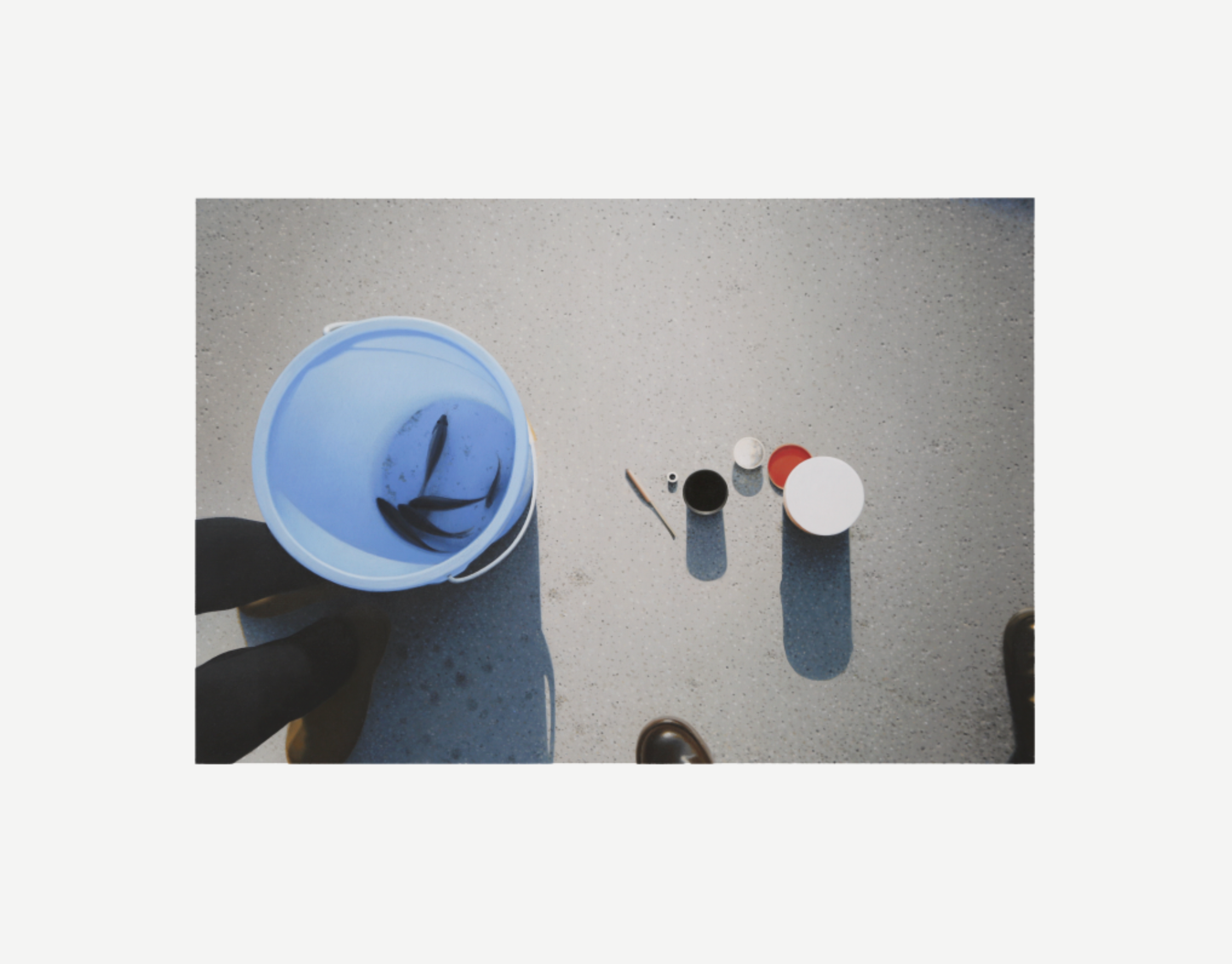 Never Get Skunked, 2025 © Andrew Grassie / Courtey of the artist and Esther Schipper, Berlin/Paris/Seoul