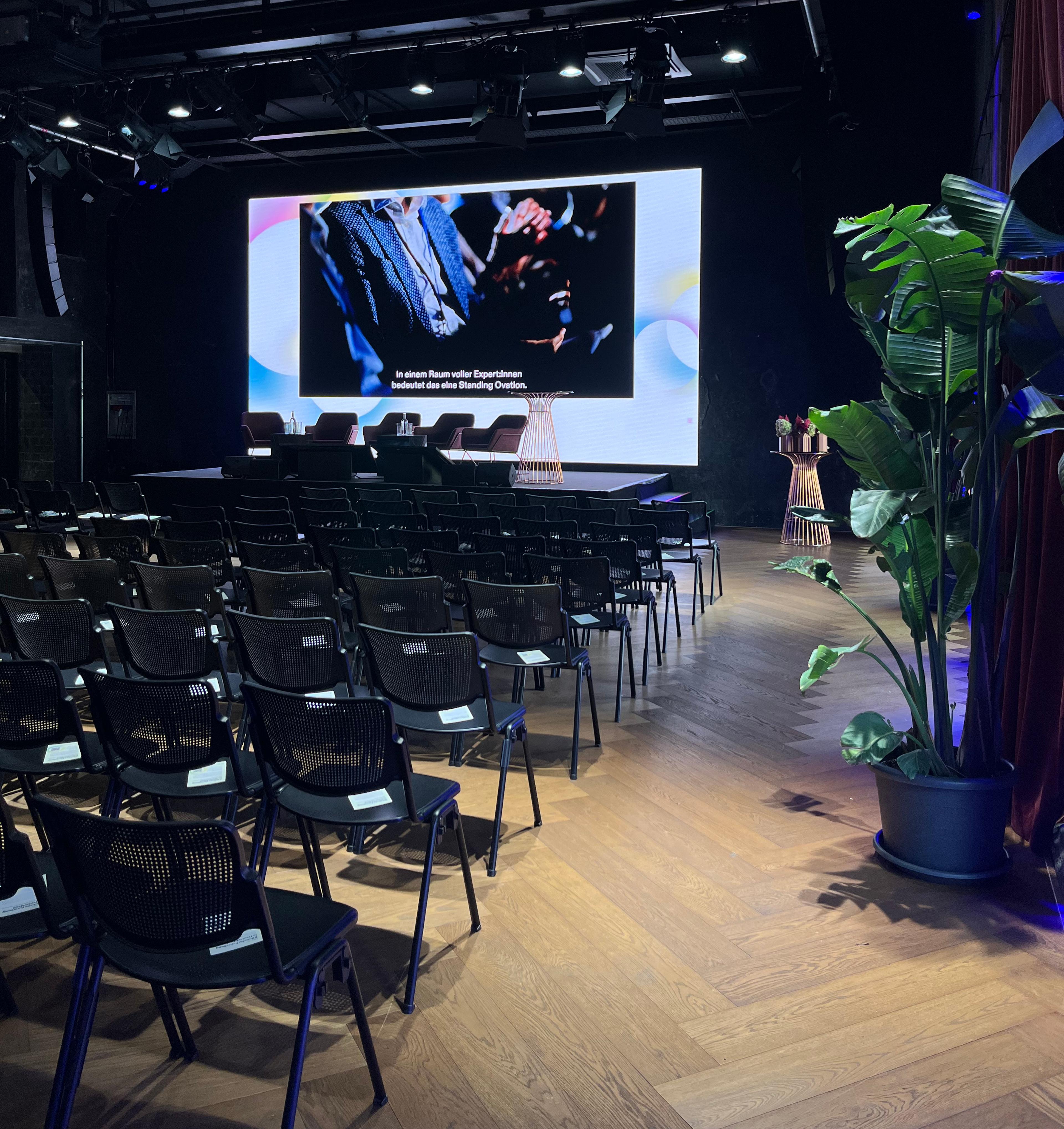 Black chairs in rows, big screen, plant on the right