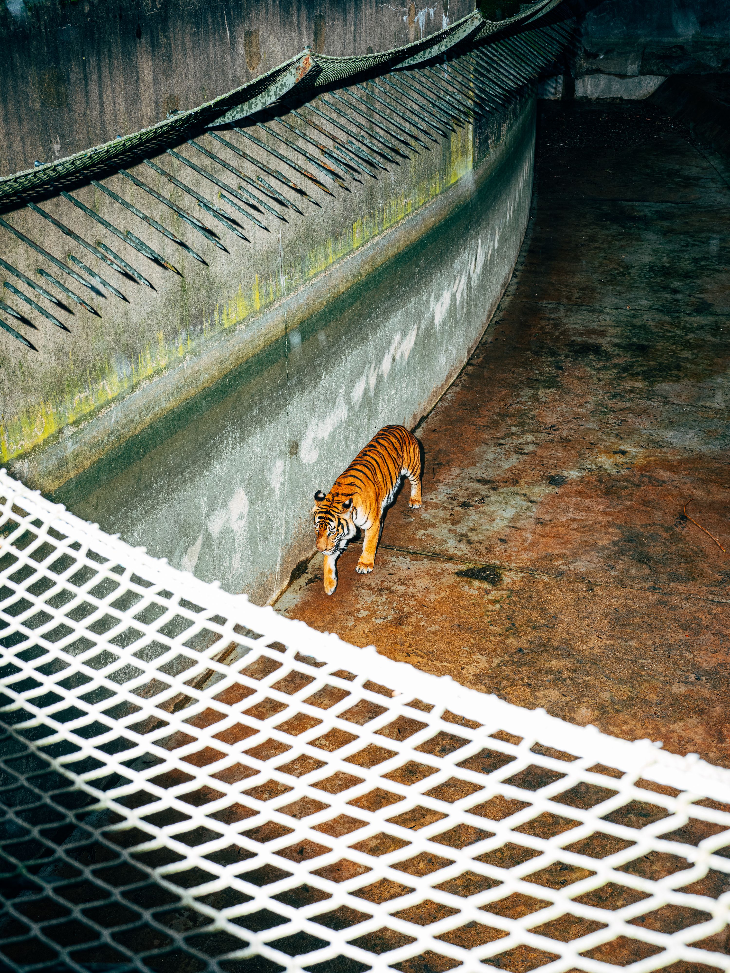 Nikita Teryoshin | Fotografiska Berlin | The Contemporary Museum