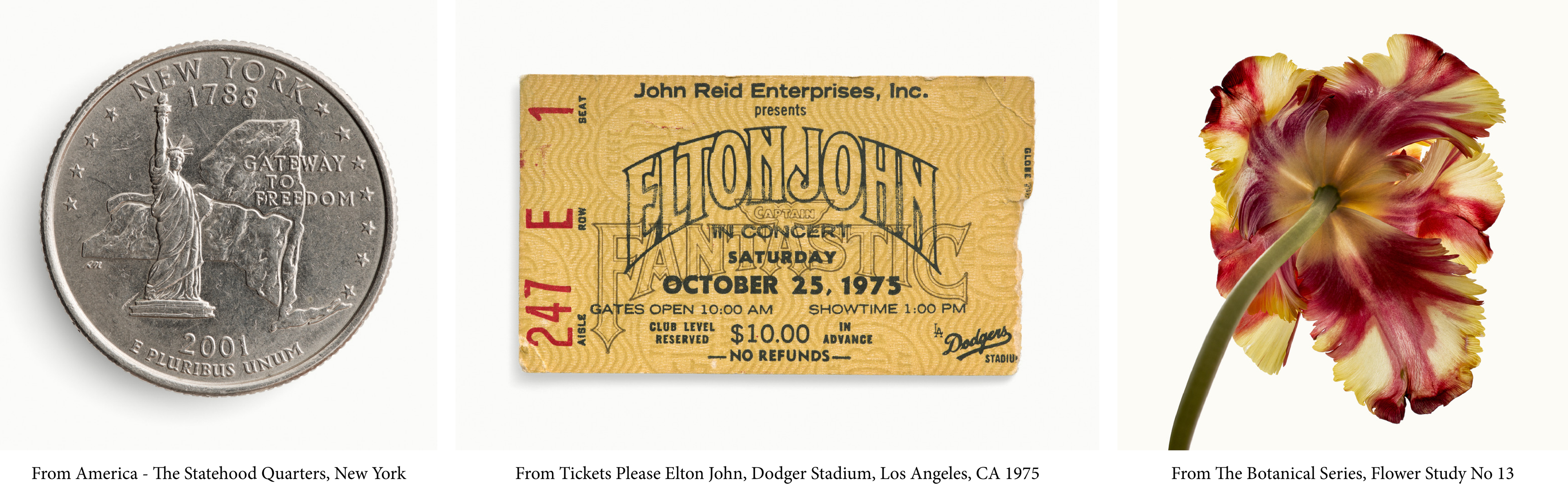 A triptych of a portrait of a coin, a yellow ticket stub, and a red and yellow flower